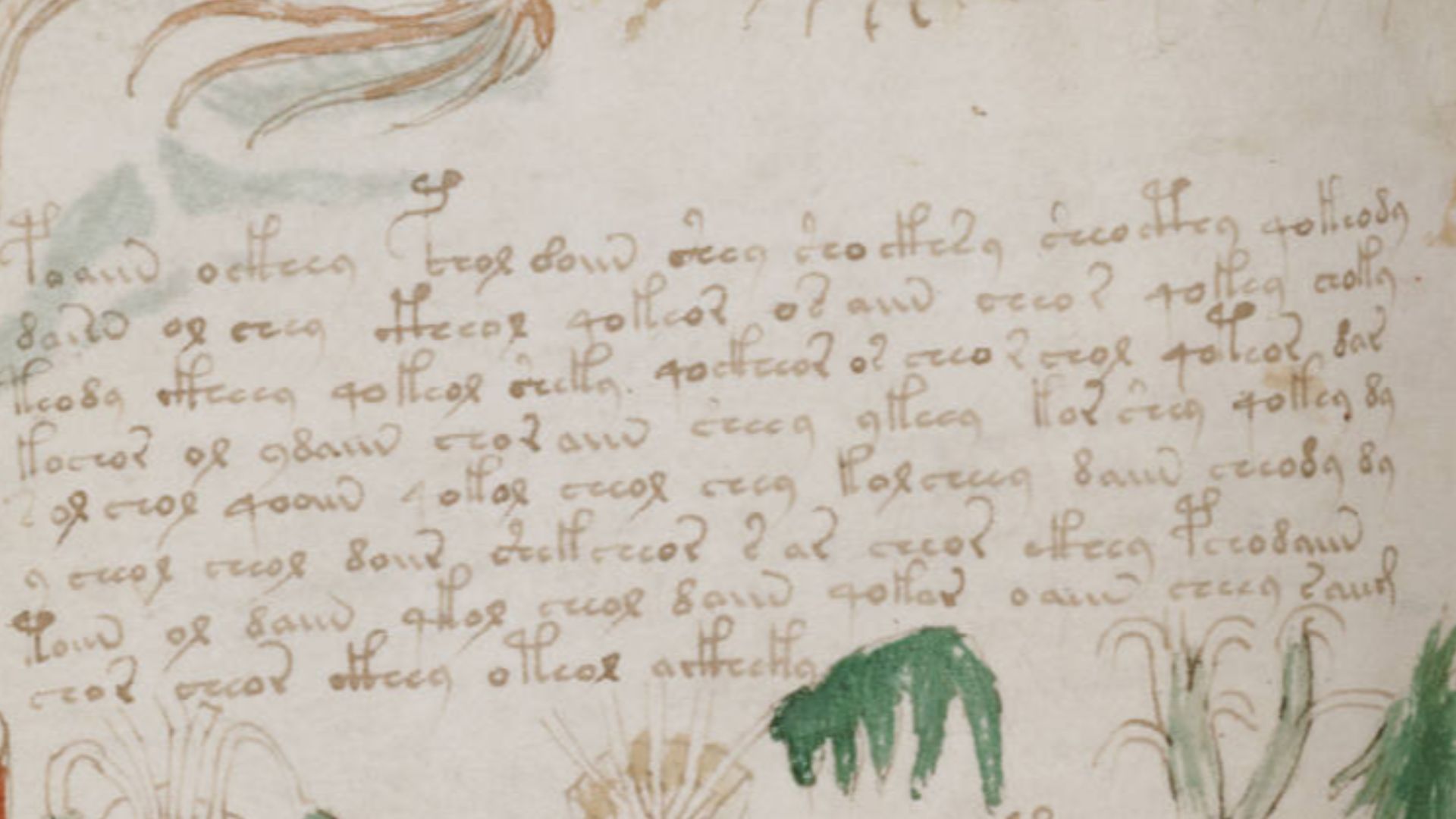 File:Voynich Manuscript (182).jpg