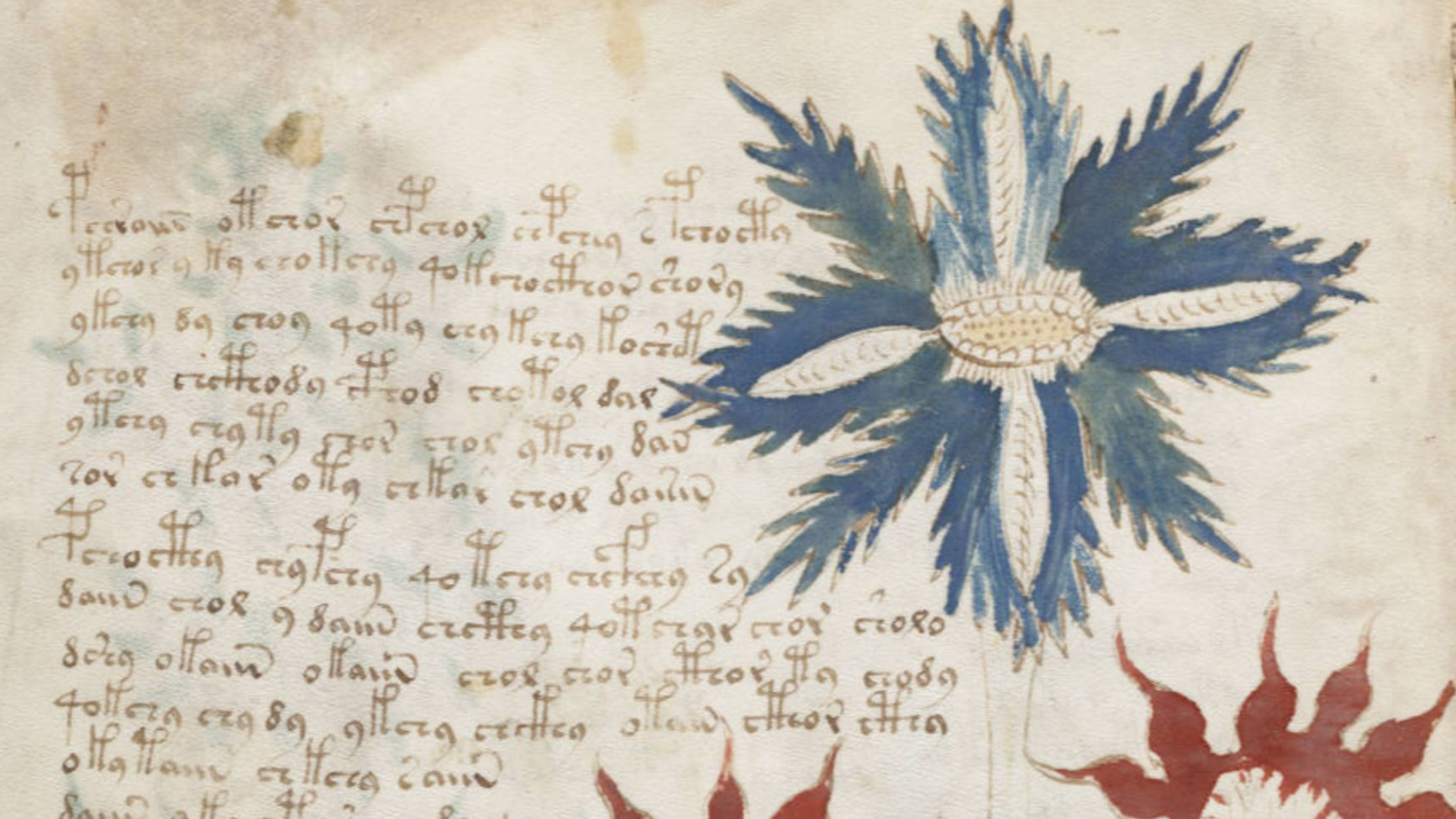 File:Voynich Manuscript (32).jpg