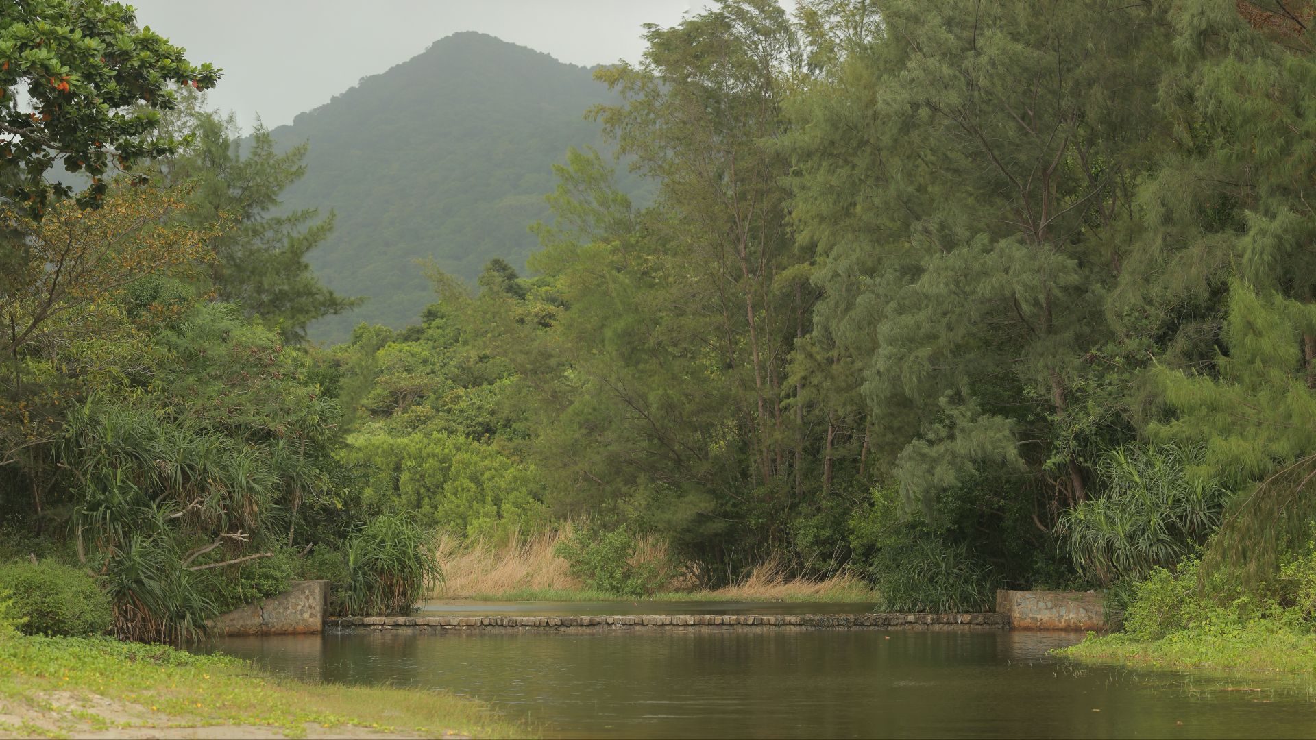 File:ConDao park dam.jpg
