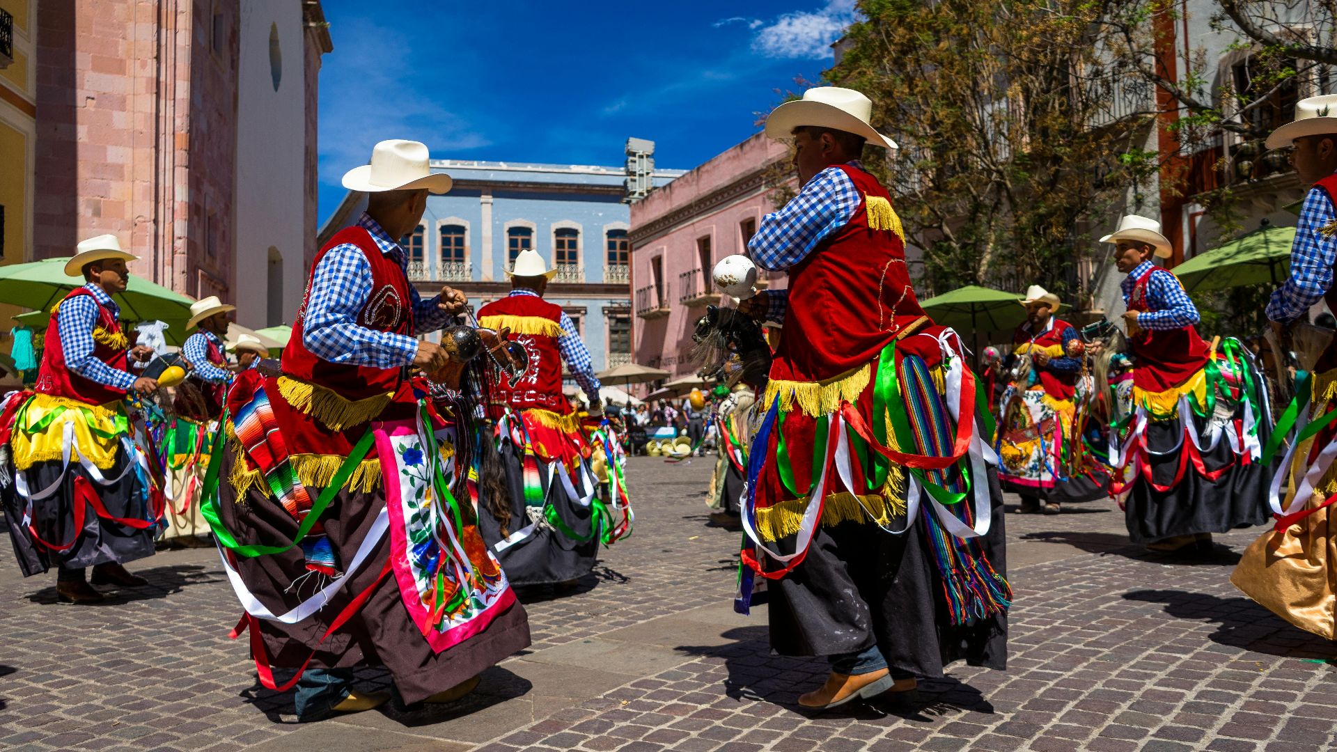 Luis Becerra  Fotógrafo