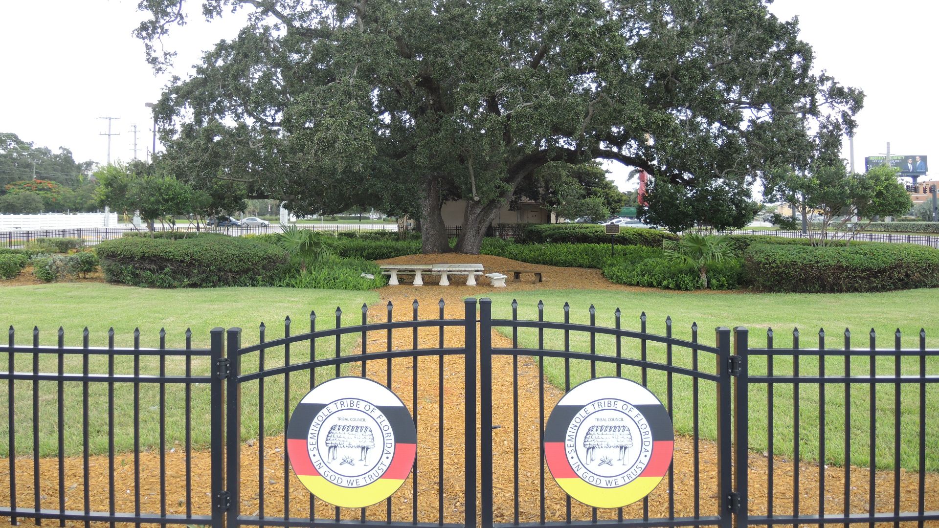 File:Council Oak Tree Site on the Hollywood Seminole Indian Reservation 04.JPG