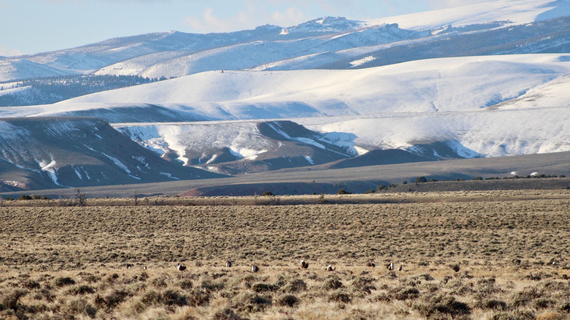 File:Wind river reservation.jpg