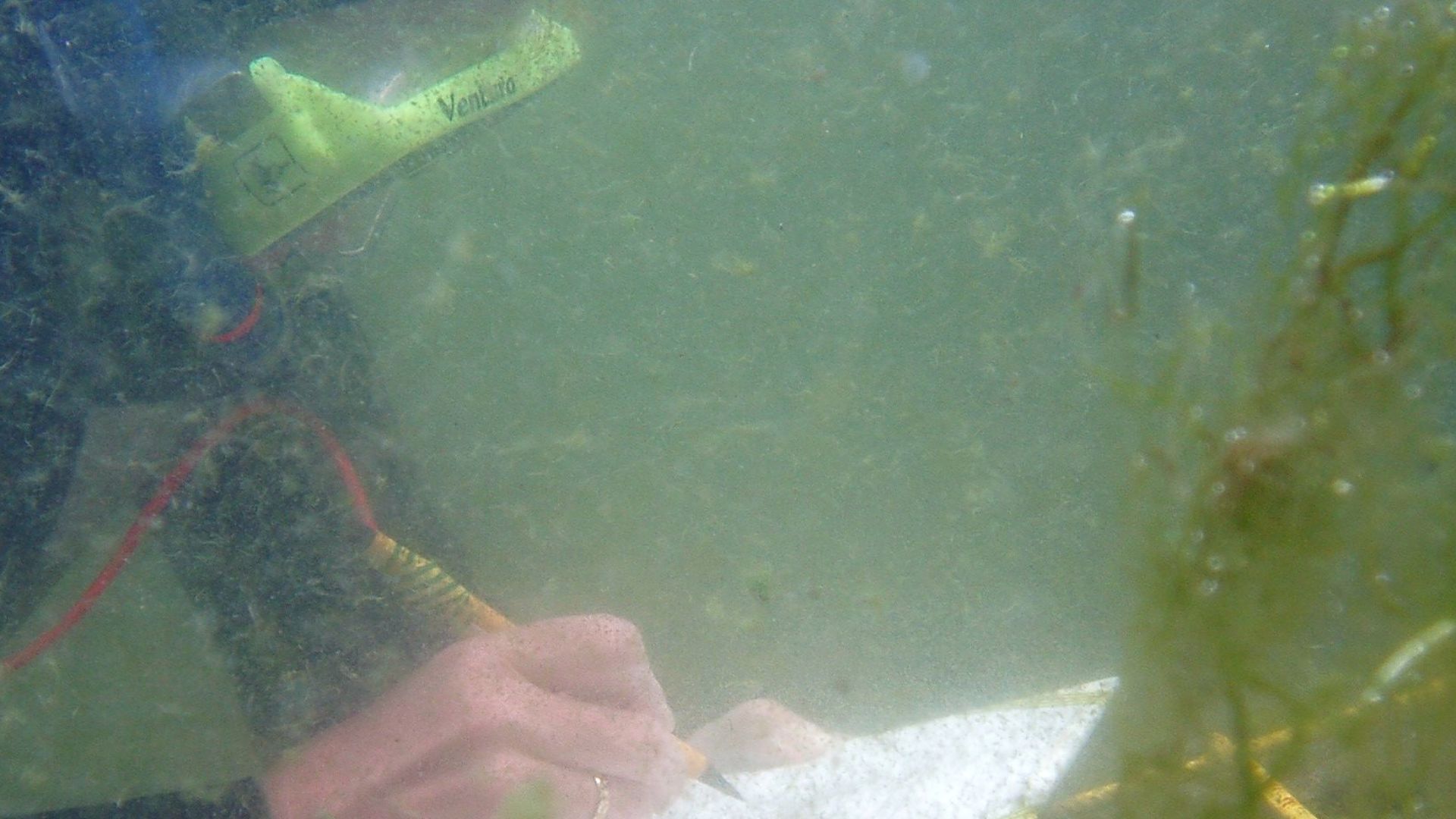 File:Scale drawing underwater.jpg