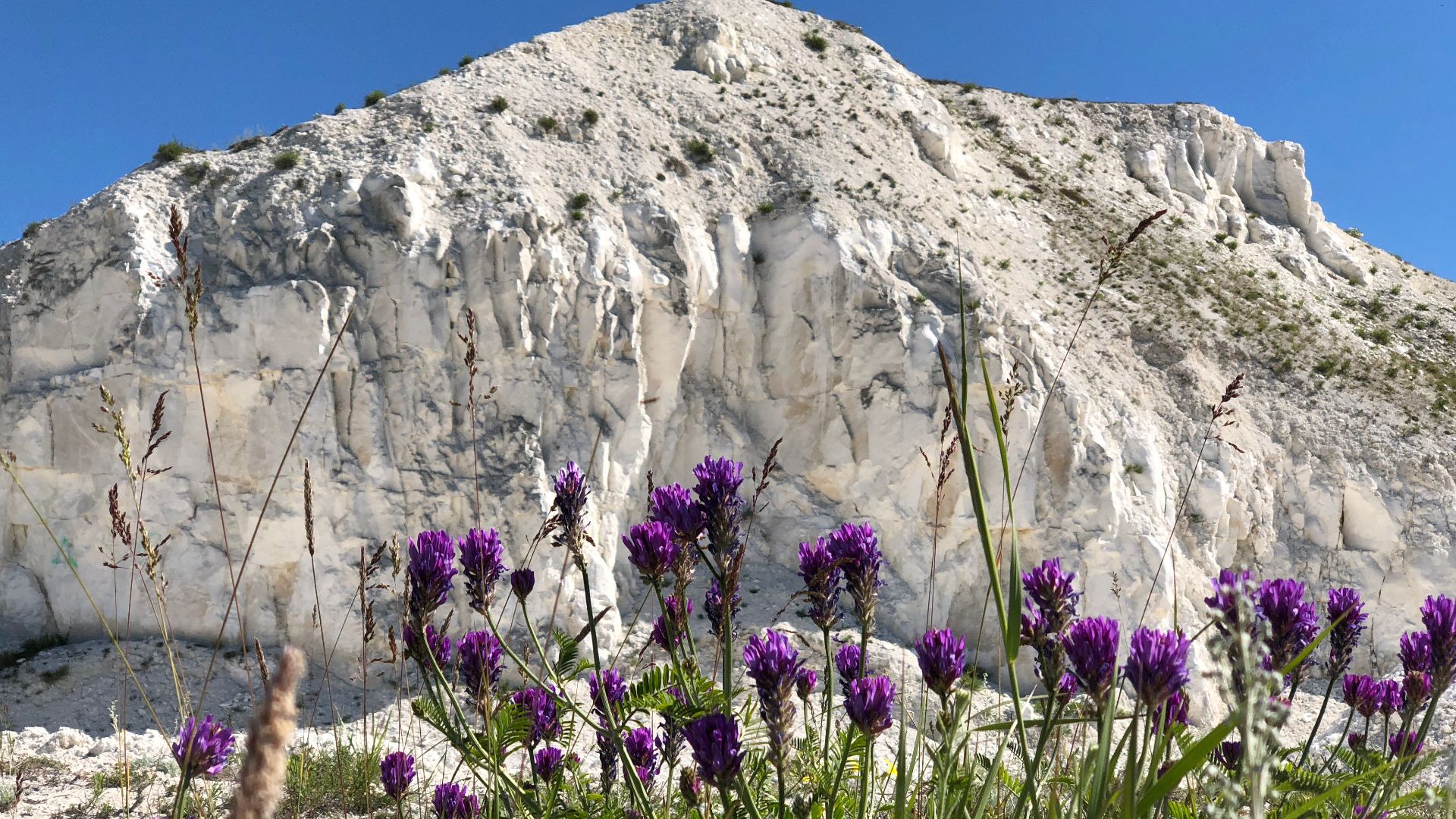 File:2018 Limestone rocks .jpeg