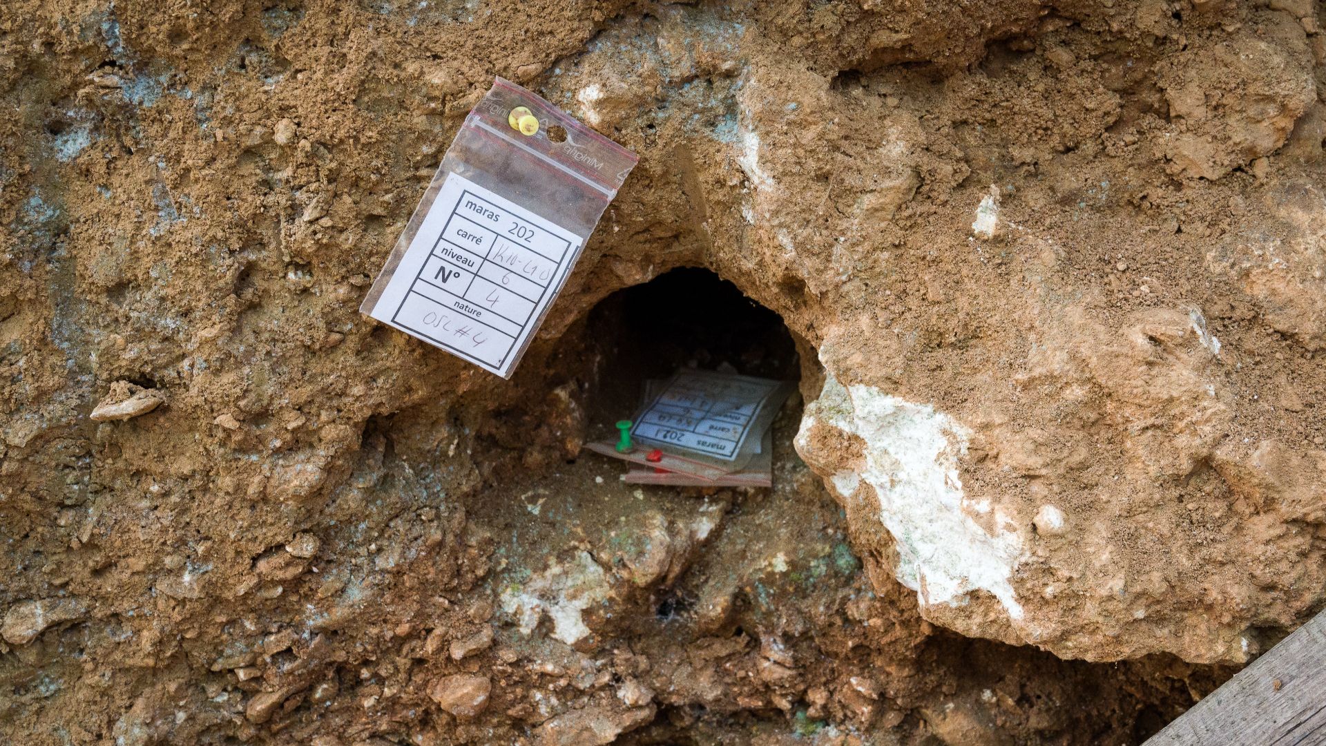 File:Abri du Maras sample OSL dating 3.jpg