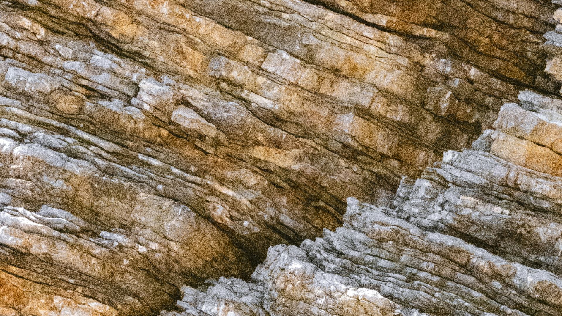 Textured rock layers with warm brown and gray tones.