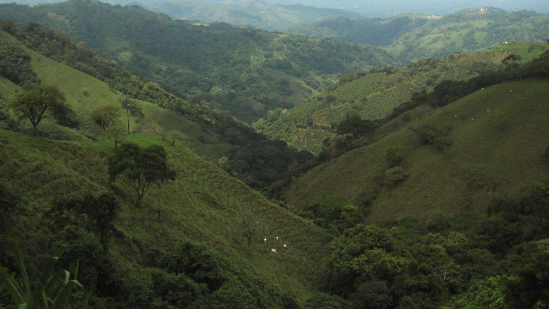 File:Mountainous countryside along the road to San José, Costa Rica.jpg