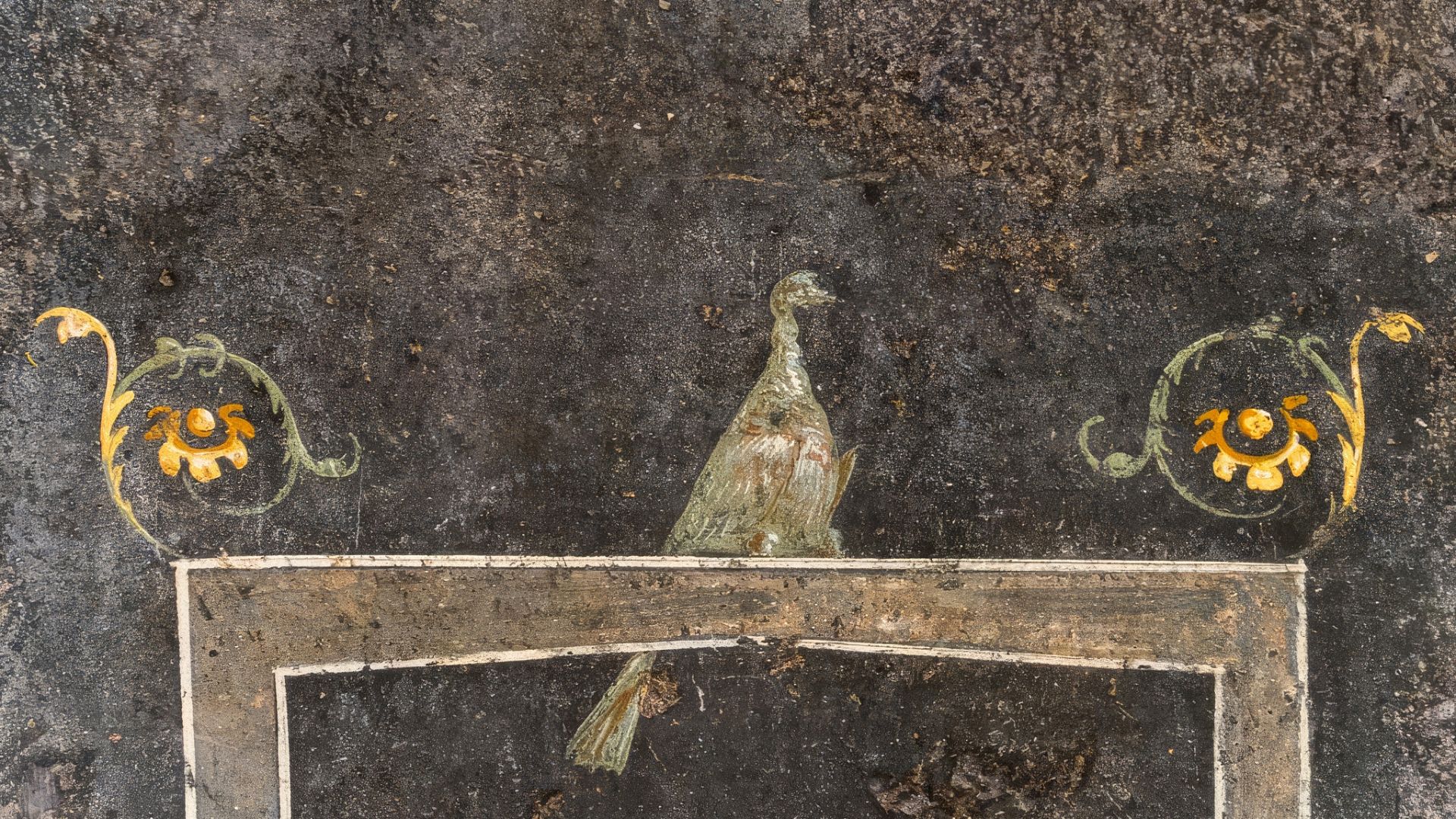 File:House of the Vettii VI 15,1 Pompeii 2023 Detail of painted bird on black painted zoccolo on lower east wall at south end room q (Mau plan) courtesy of Johannes Eber.jpg
