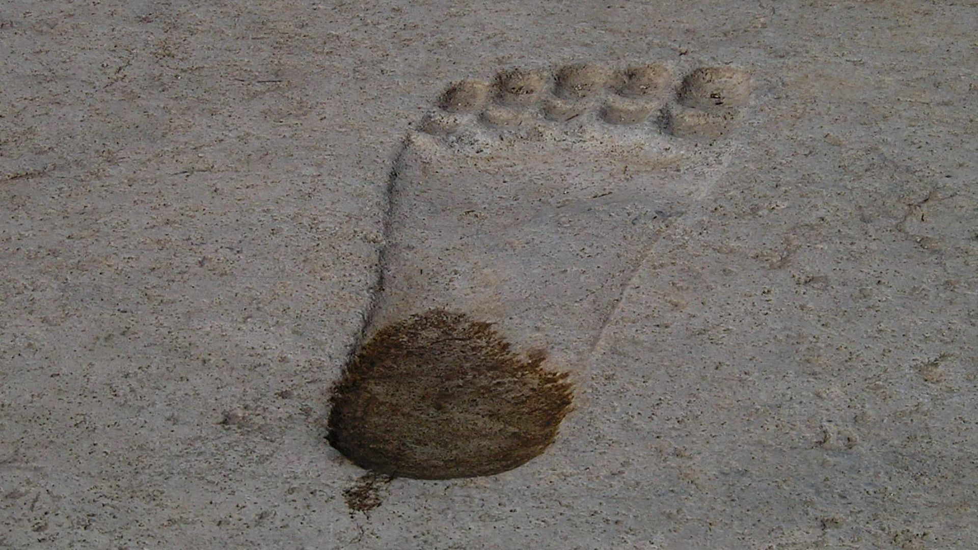 File:Large left foot Ain Dara (4089632403).jpg