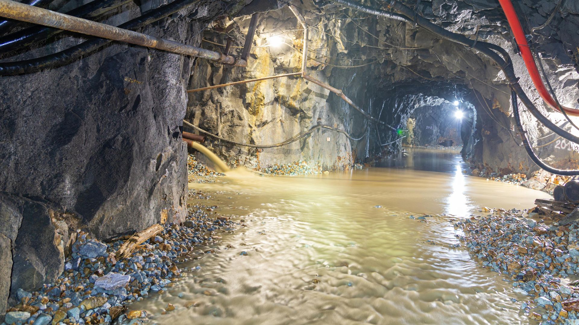 Александр Максин