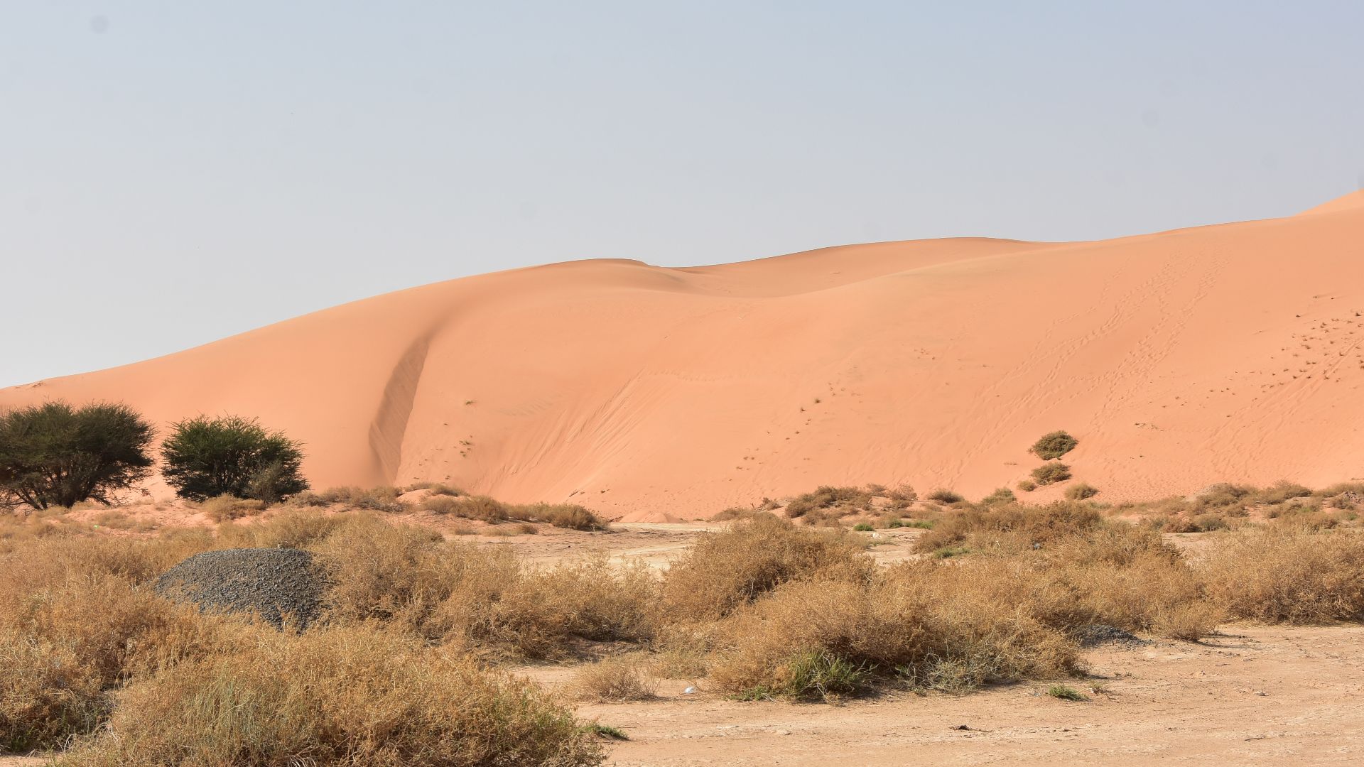 File:Najd desert landscape, Saudi Arabia (8).jpg