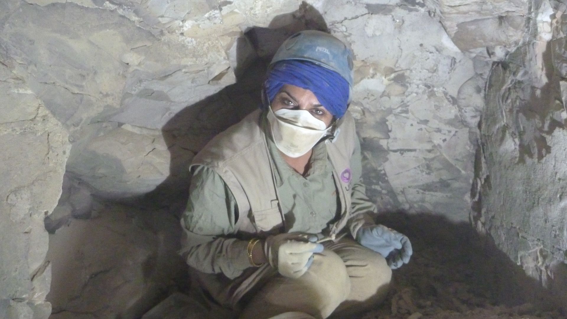 File:Salima Ikram.jpg