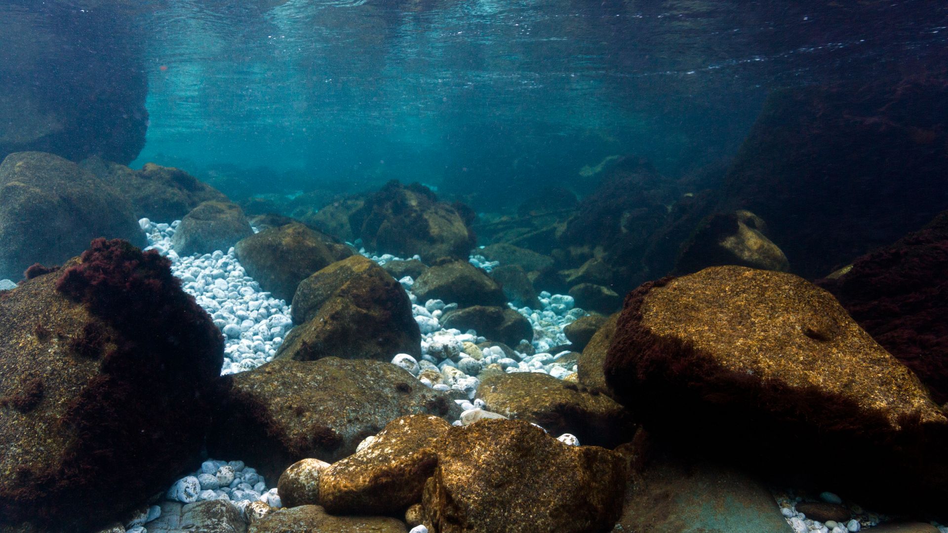 File:Piva River Underwater Landscape.jpg