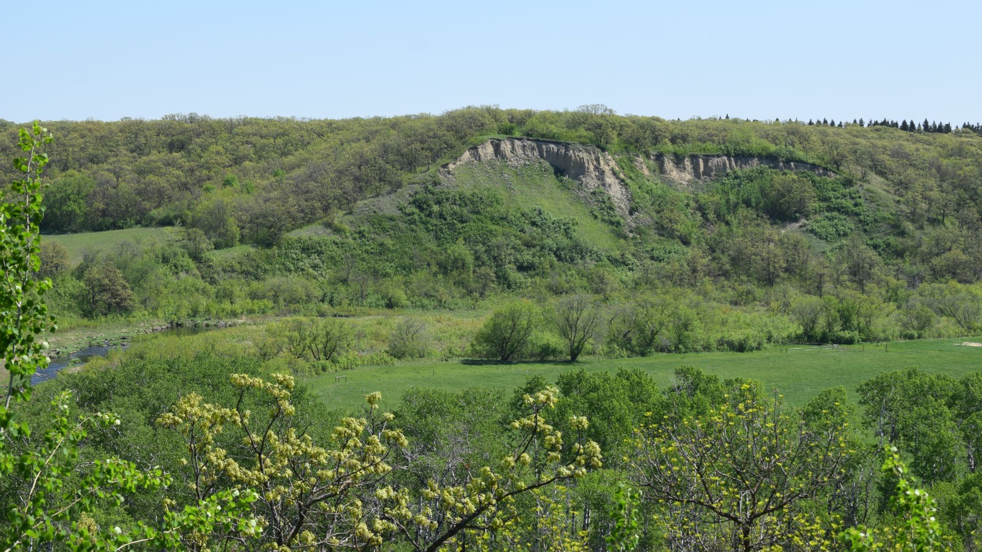 File:Clay Banks Bison Jump 2.jpg