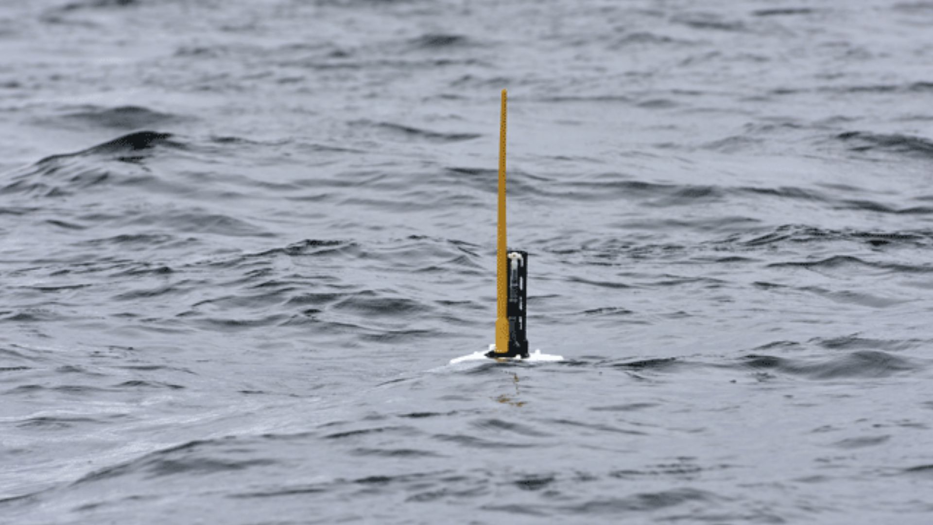 File:Argo float deployed.gif