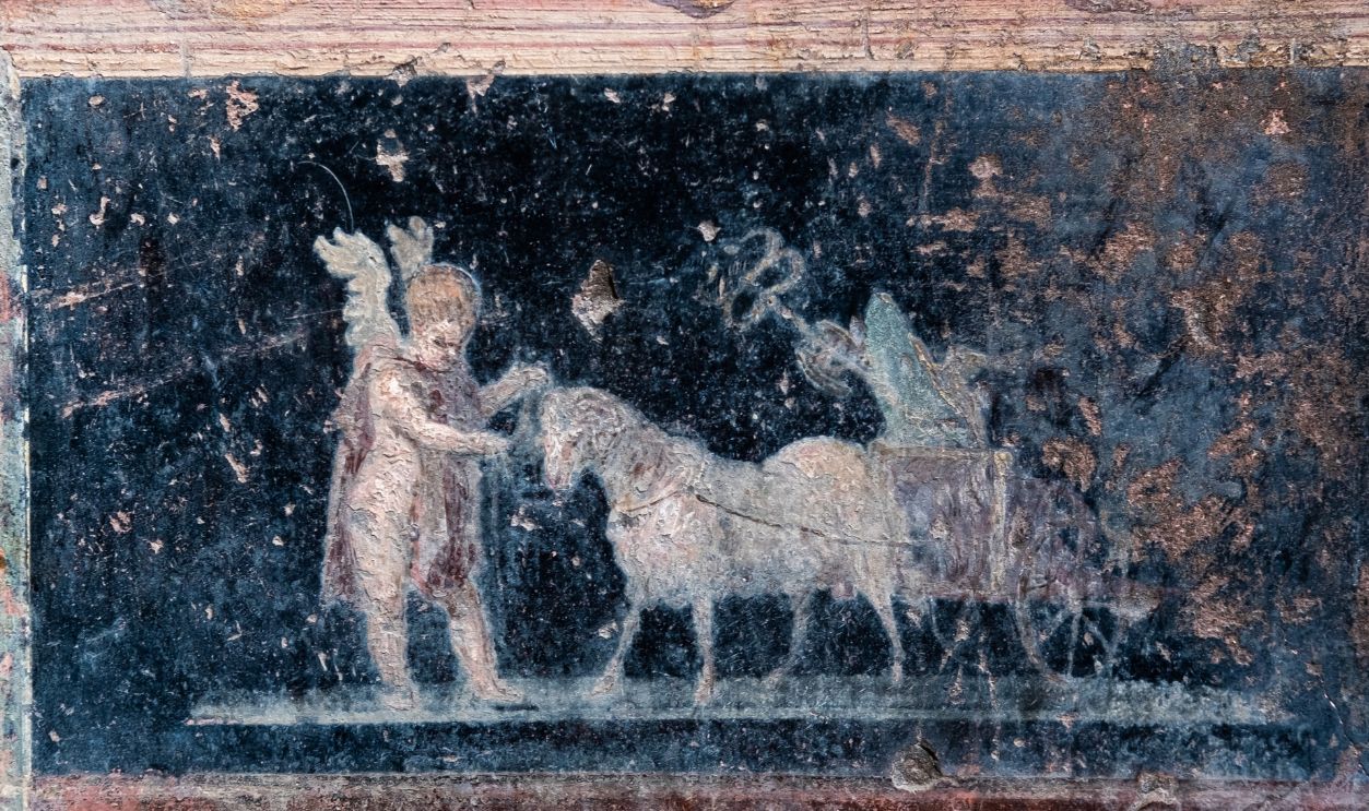 Winged Amorino ancient fresco, a figure of divinity of ancient Rome in Pompeii. Pompeii was destroyed by the volcanic eruption of Vesuvius in 79 BC