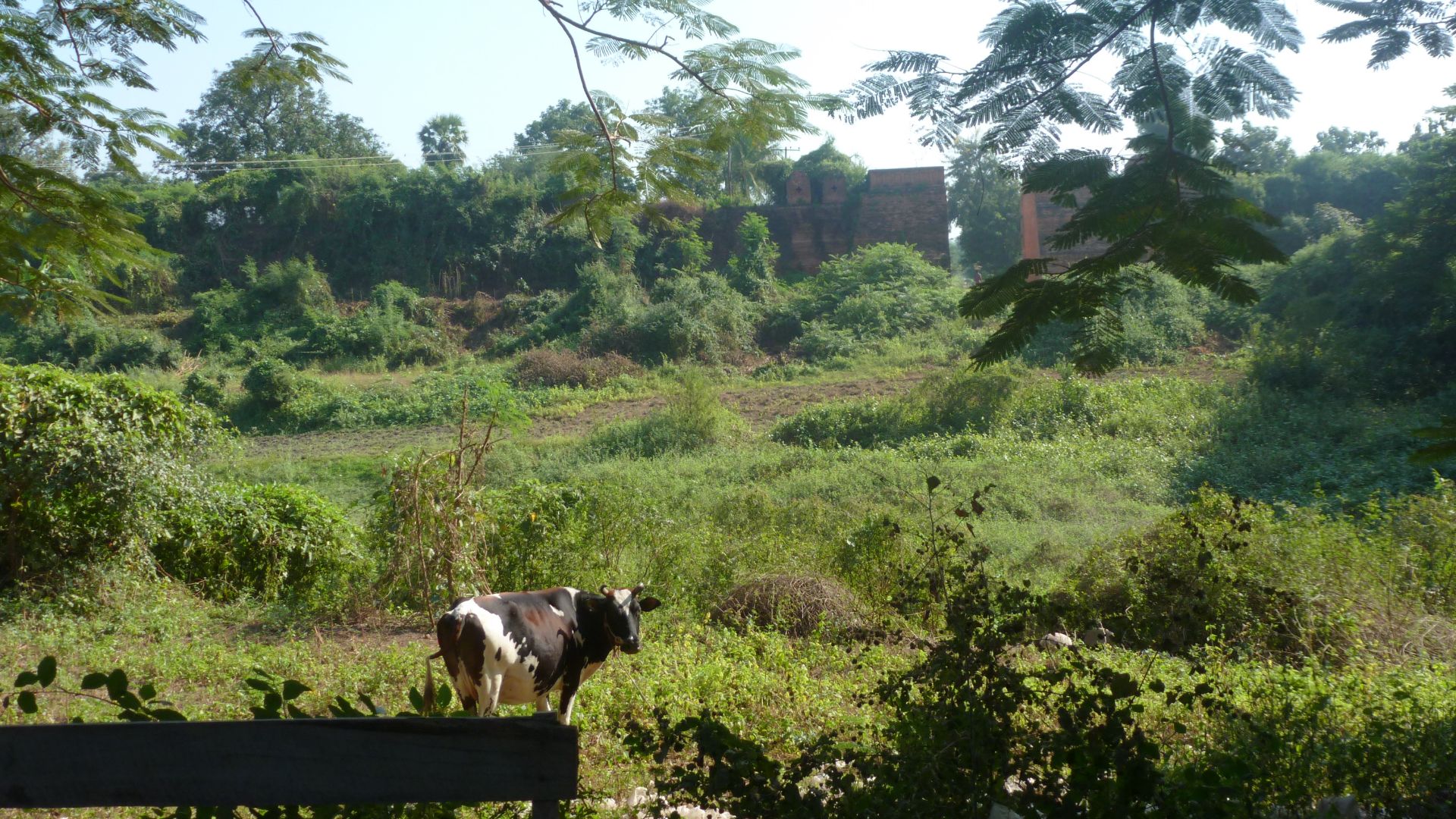 File:Inwa -- Second Outer Walls and Moat.JPG