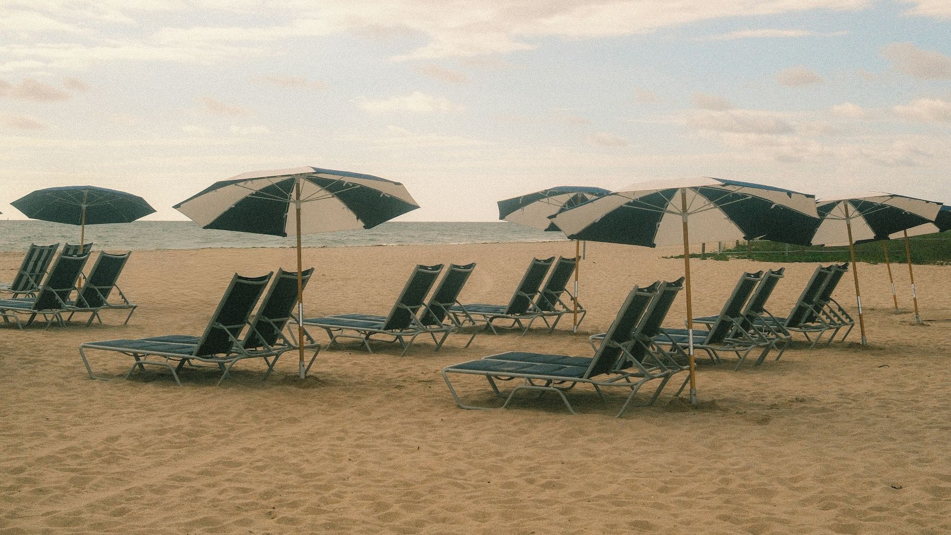 Beach chairs and umbrellas on a sandy shore