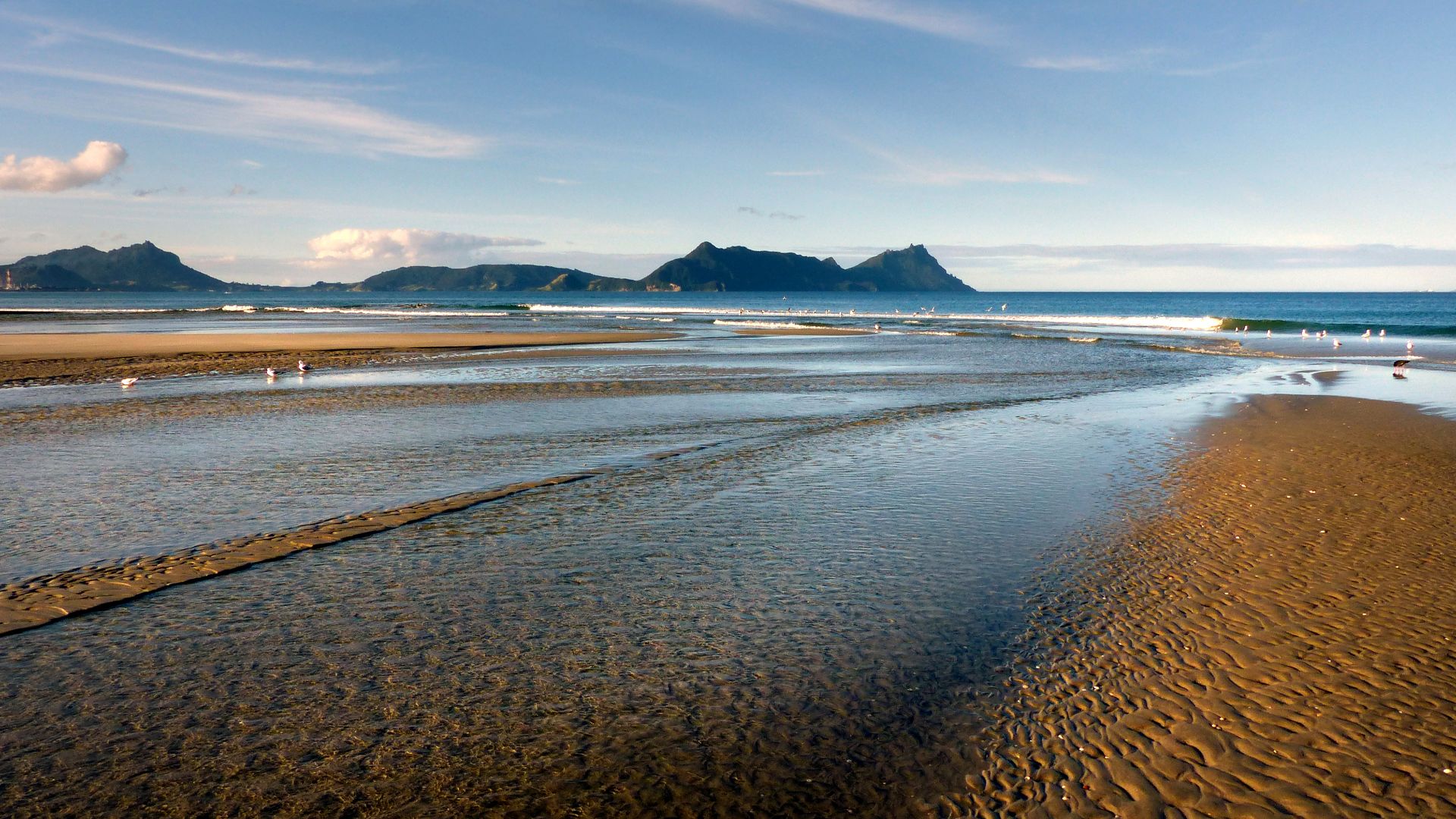 Tides are the rise and fall of sea levels caused by the combined effects of gravitational forces exerted by the Moon, Sun, and rotation of the Earth.

The times and amplitude of tides at a locale are influenced by the alignment of the Sun and Moon, by the