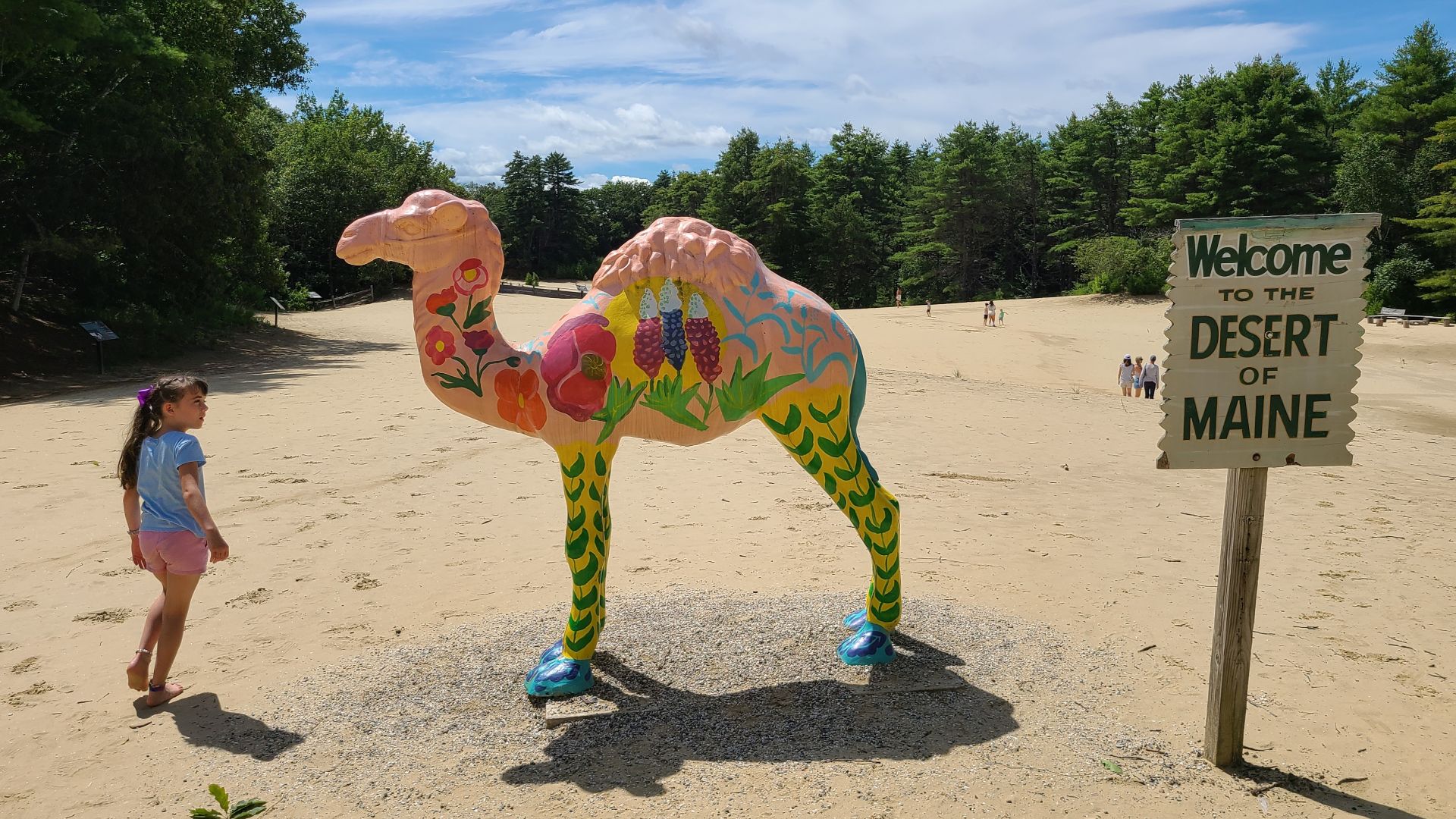 Desert of Maine with camel statue