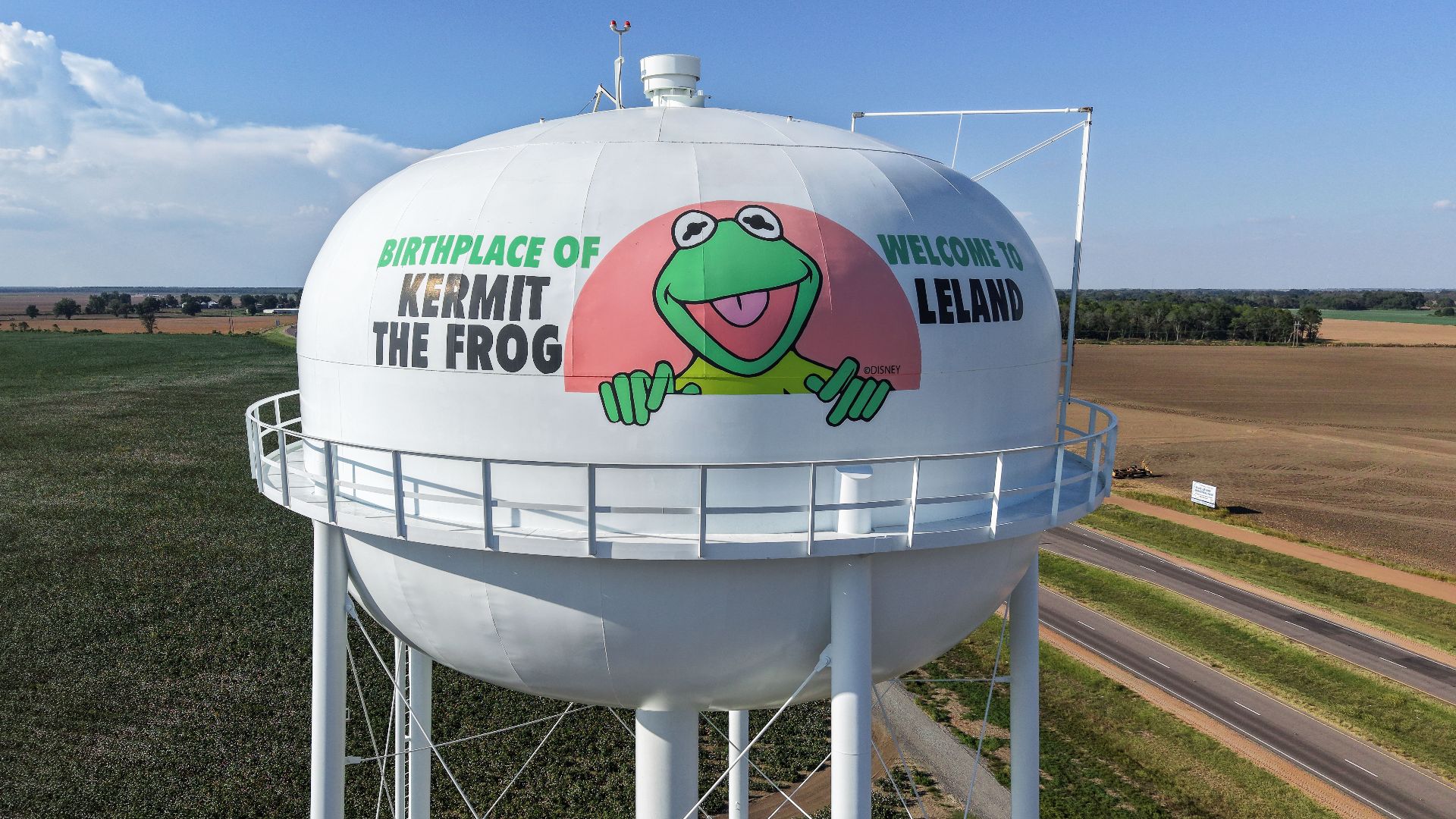 The Kermit the Frog water tower in Leland, Mississippi, a Delta farming city of 3,988 people where Muppets creator Jim Henson spent his childhood.