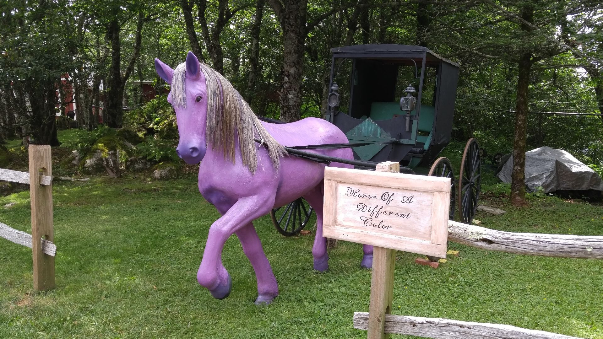 Land of Oz horse