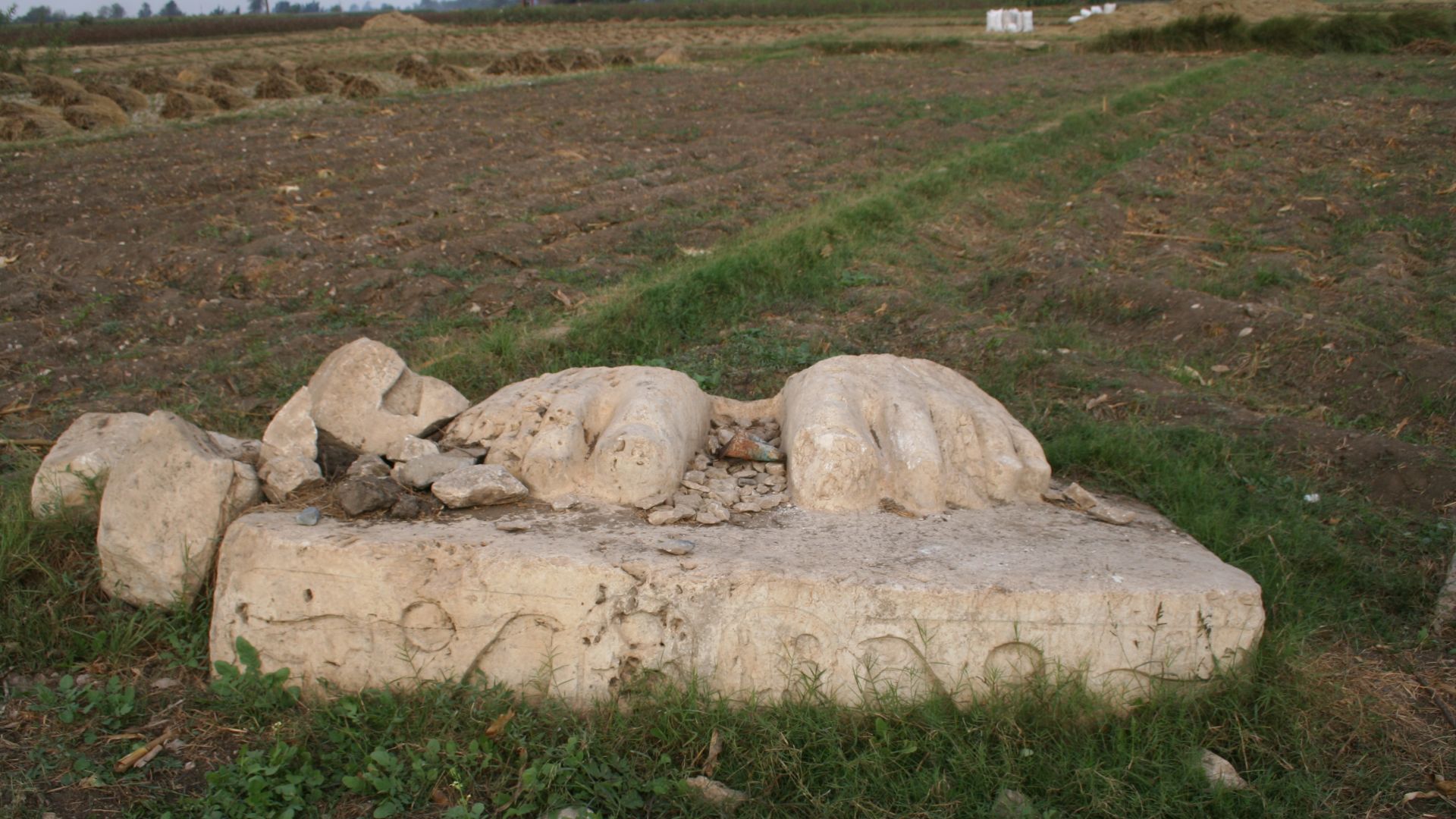 Feet of a colossal statue of Ramses II in Qantir
