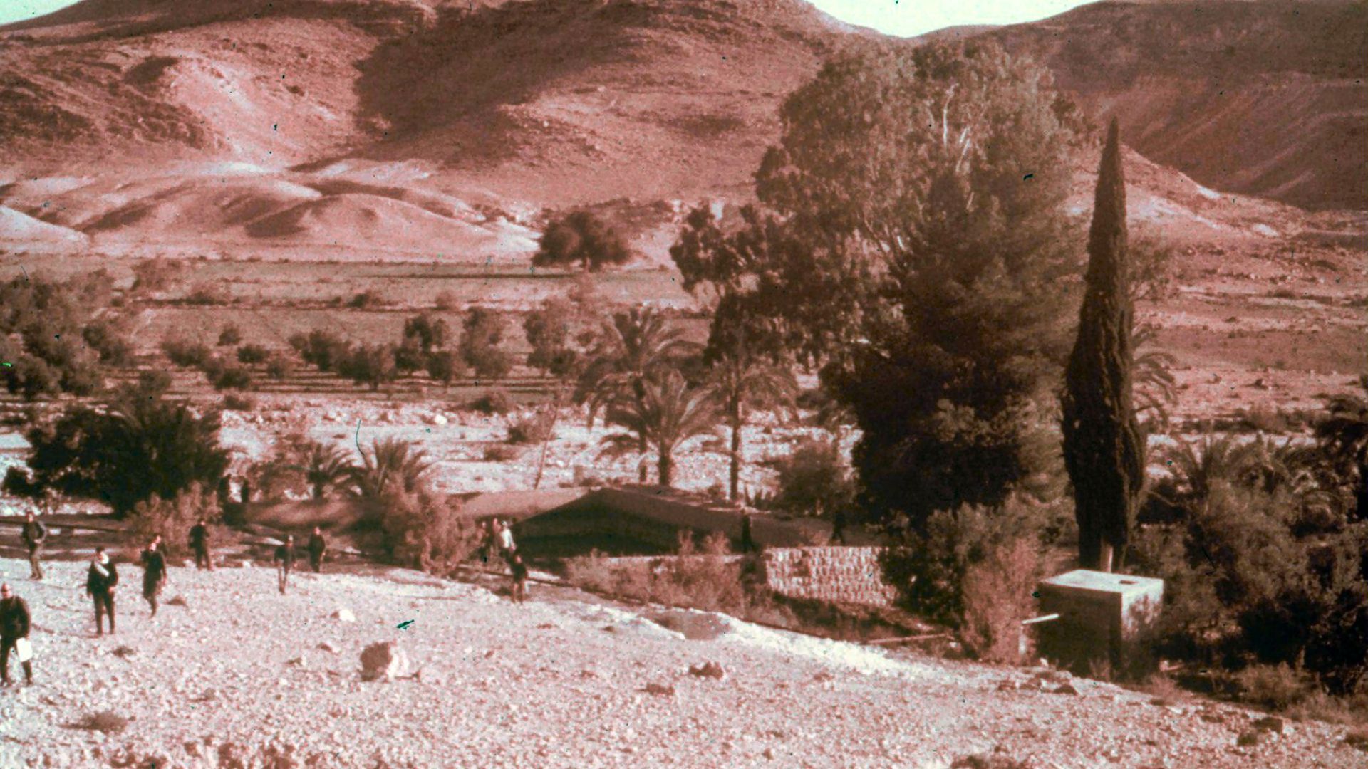 The oasis of Kadesh Barnea