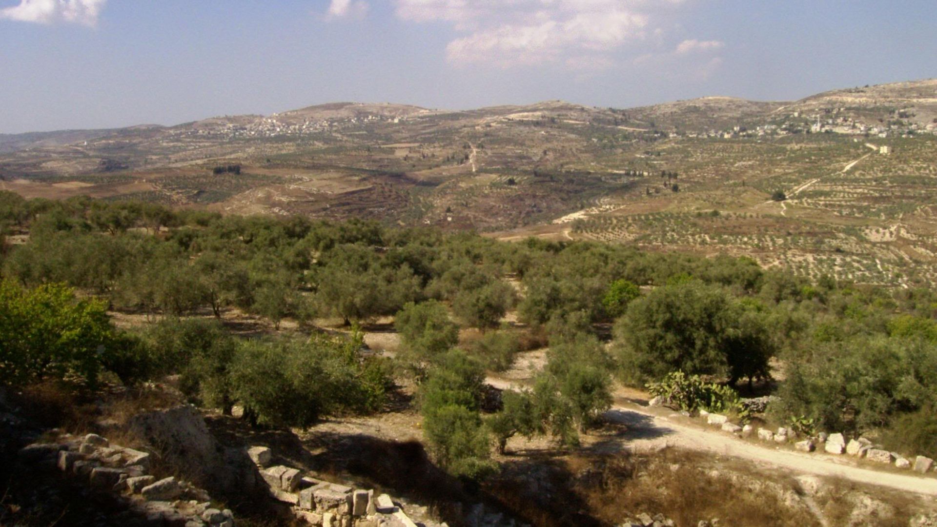 Samaria, the capital of the kingdom of Israel in ancient times - today an archeological site