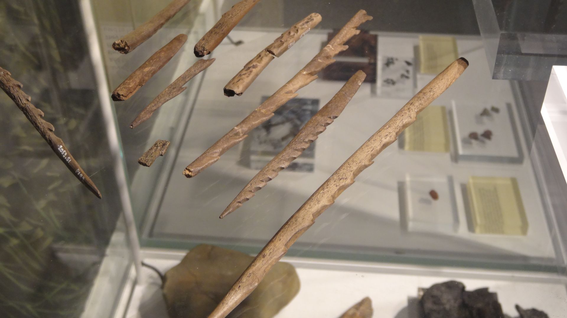 Star Carr collection at Yorkshire museum - mesolithic spear tips from the earliest known post glacial settlement in England