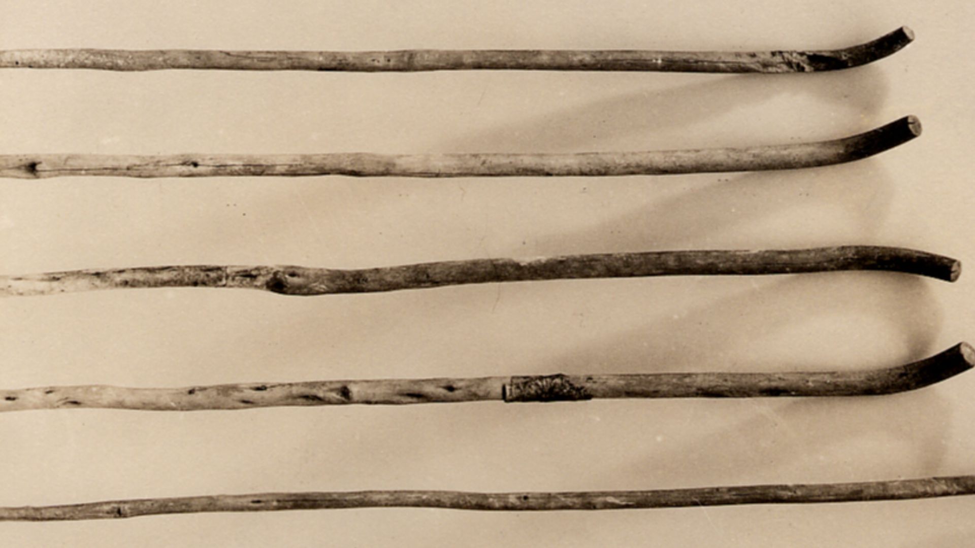 Walking stick