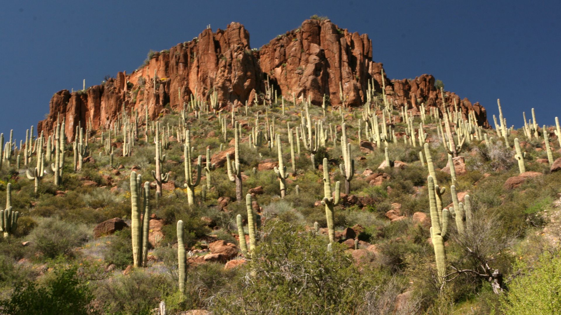 The 19,410-acre Aravaipa Canyon Wilderness is 120 miles southeast of Phoenix, Arizona in Graham and Pinal counties.  The wilderness includes the 11-mile long Aravaipa Canyon, as well as, the surrounding tablelands and nine side canyons. Within the colorfu