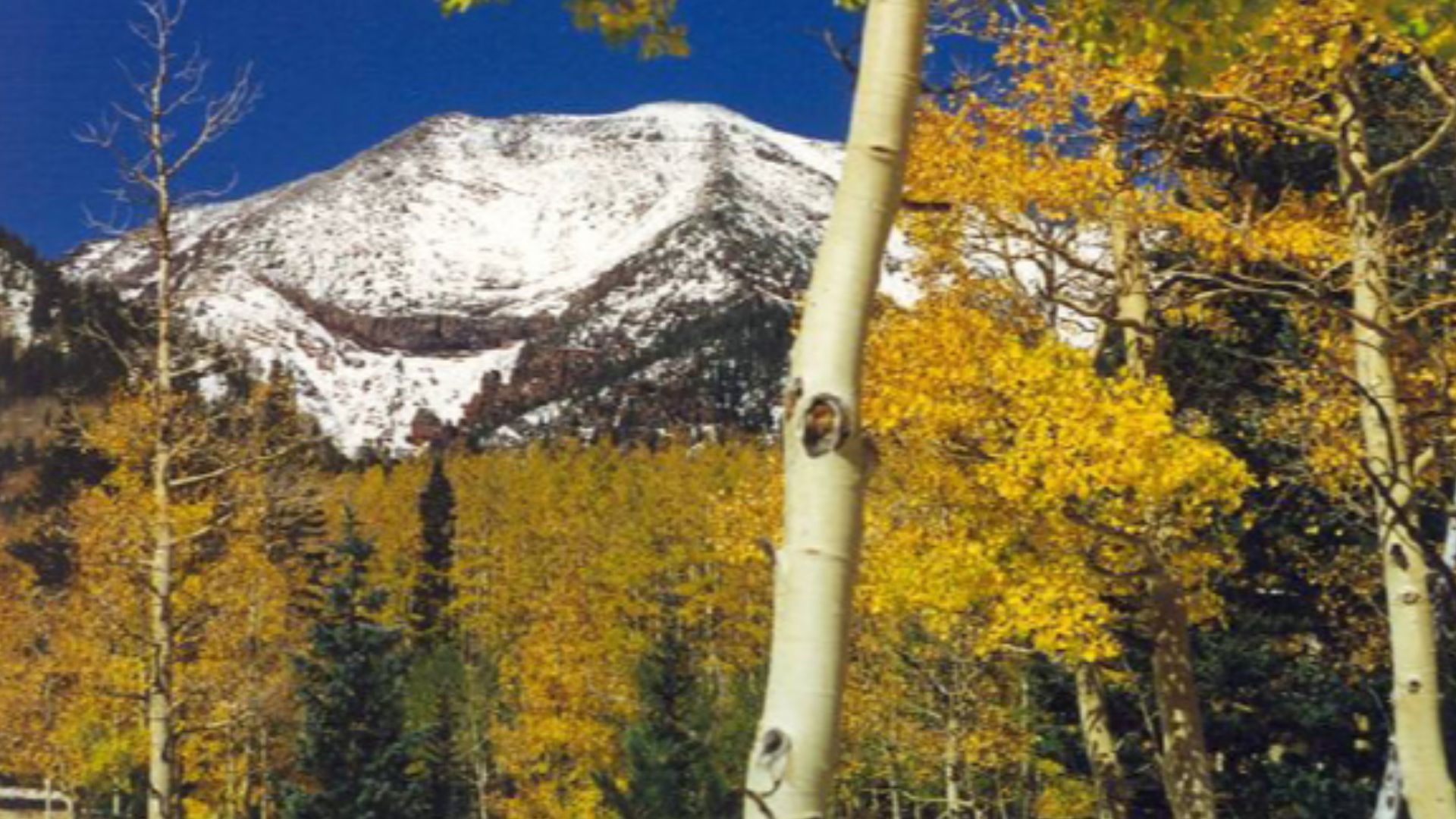 Humphreys Peak, located within the Kachina Peaks Wilderness Area in Arizona's Coconino National Forest.