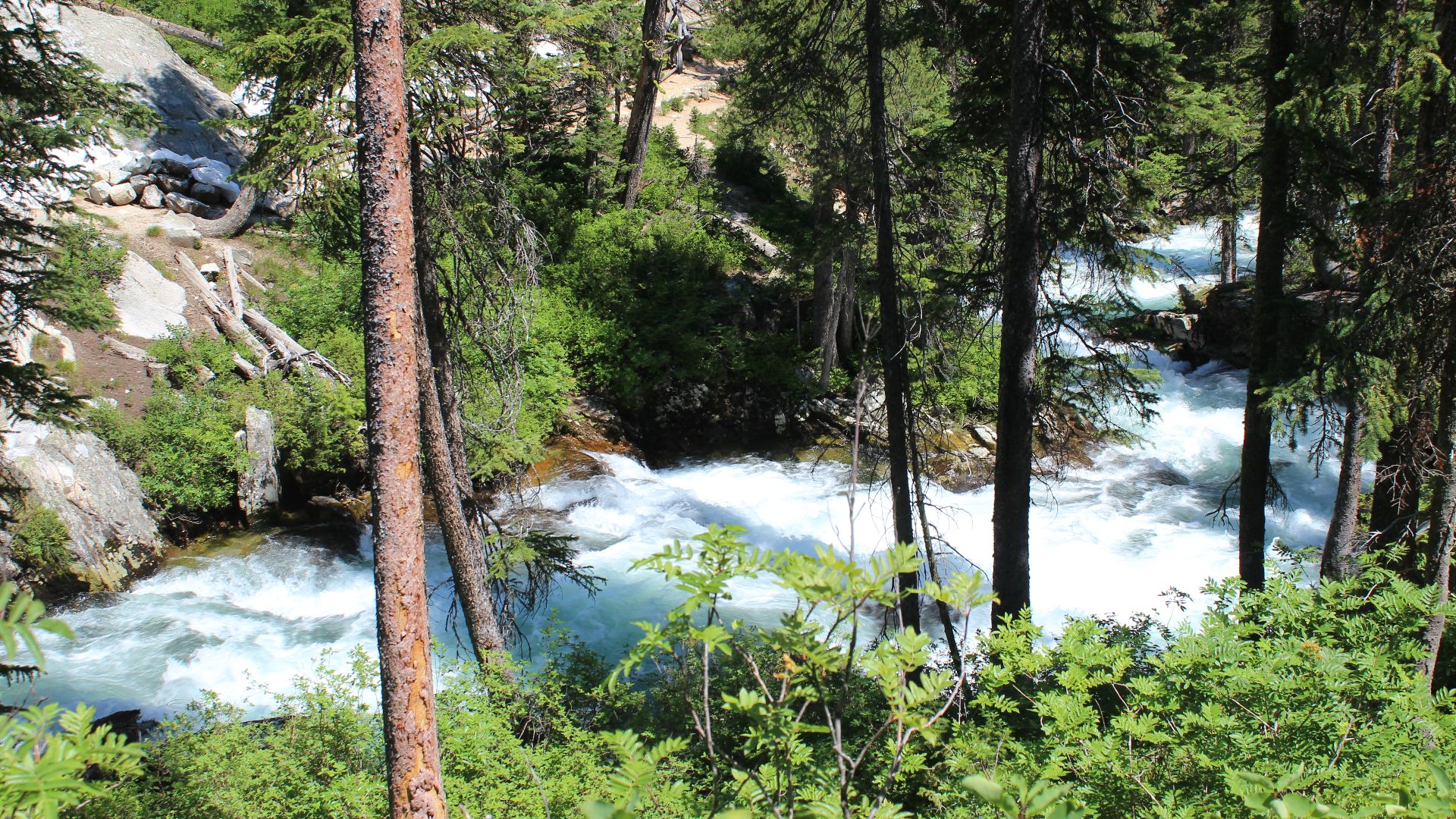 Grand Teton National Park. Hidden Falls.