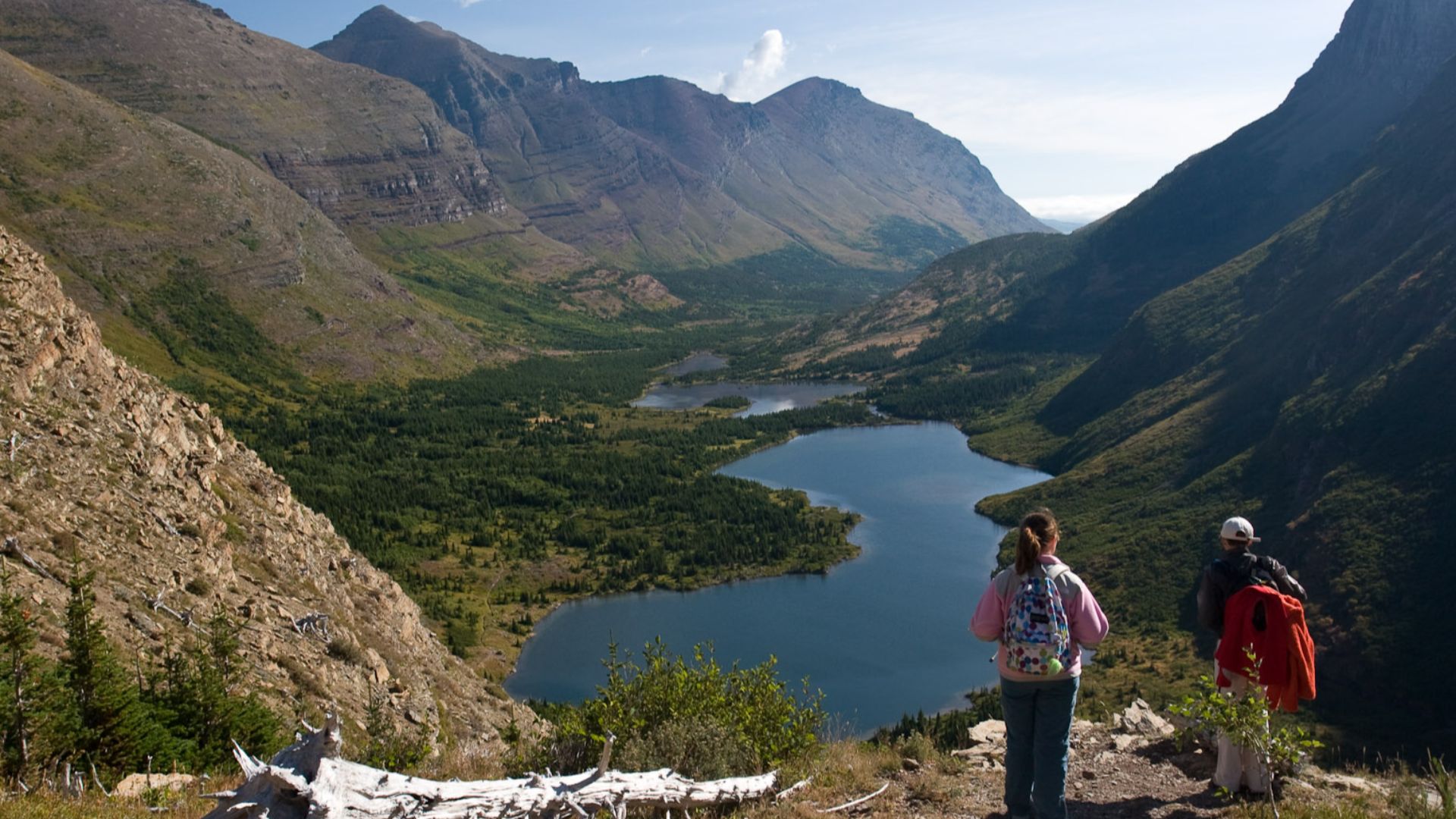 Bullhead Lake, Swiftcurrent Pass Trail