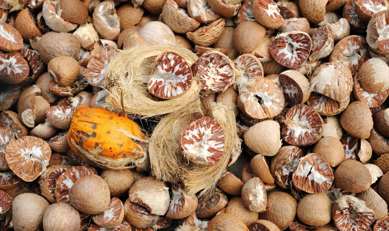 Betel Nut or Areca Nut background, selective focus.