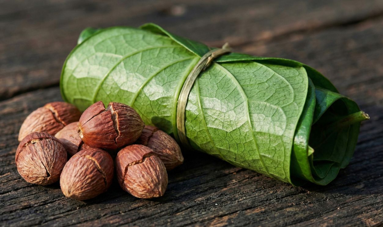 Close-up of betel nuts and fresh, rolled betel leaves tied with string on a weathered wooden background, symbolizing tradition.