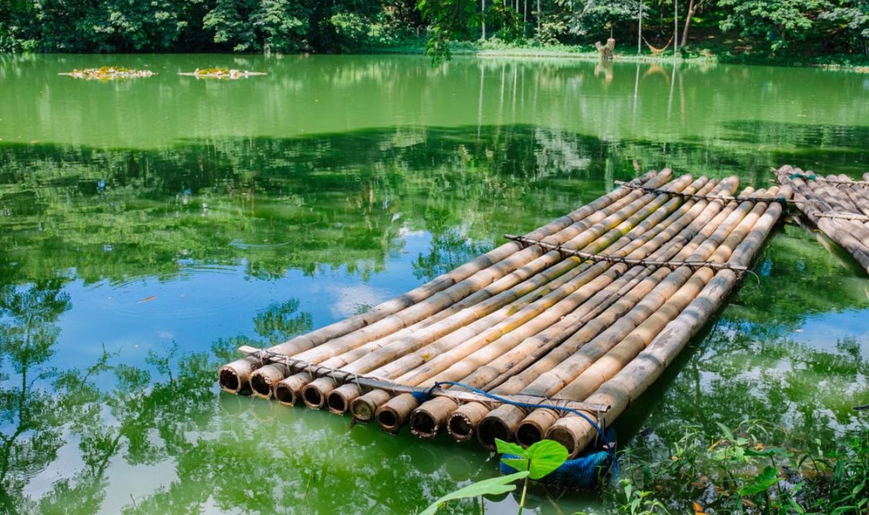 A peaceful scene with a bamboo raft floating on a serene green lake surrounded by lush trees