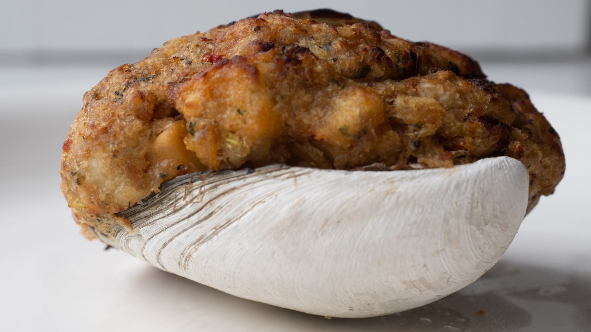 Stuffies / Quahogs / Stuffed Clam