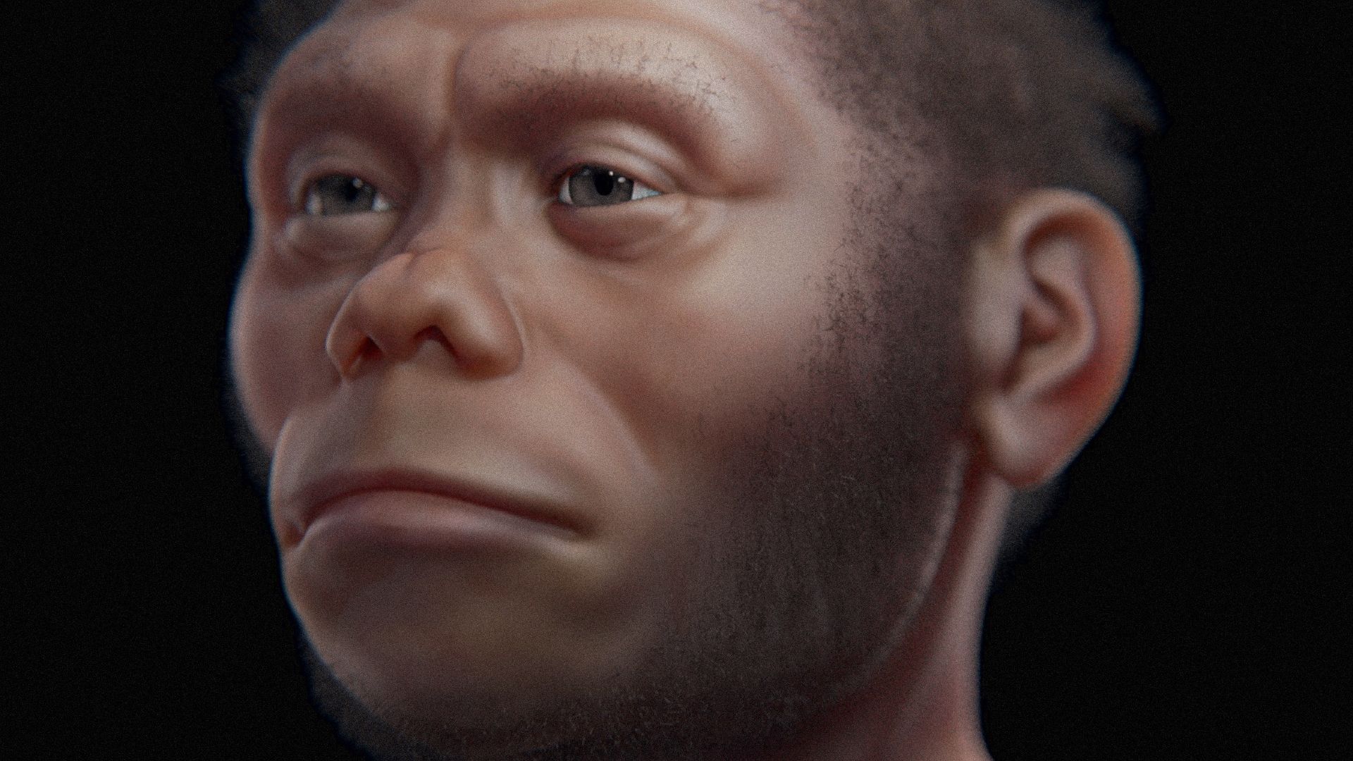Homo floresiensis -  aproximação facial 3D digital.