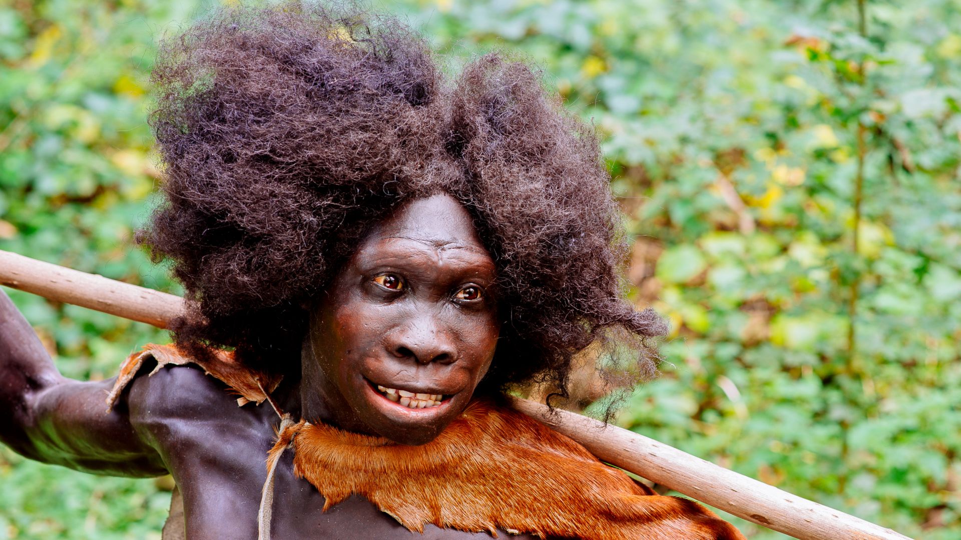 Rekonstruktion des Homo erectus Fundes: Turkana Boy (Ausschnitt) vom Fundort Nariokotome, Kenia, ausgestellt im Neanderthal Museum in Erkrath, NRW. Model made by Kennis & Kennis Reconstructions.