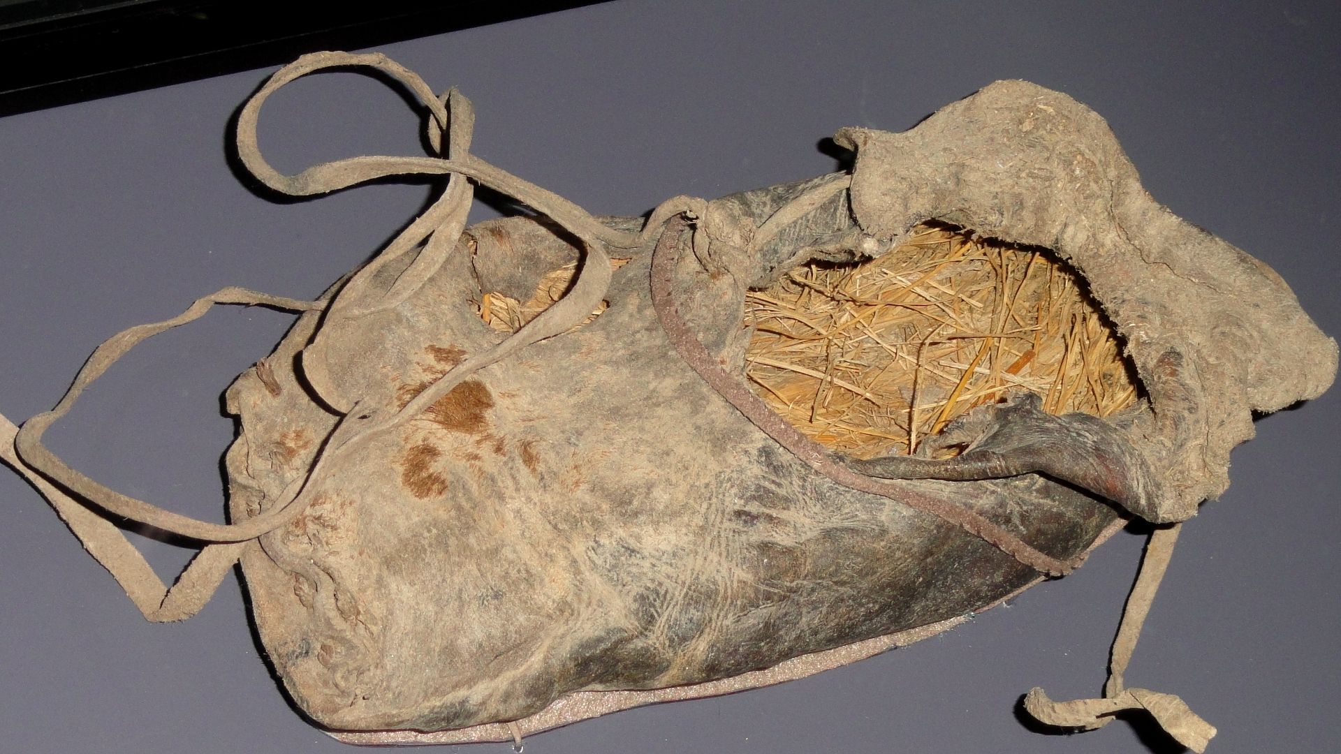 Exhibit in the Natural History Museum of Utah, Salt Lake City, Utah, USA. This item is old enough so that it is in the public domain. Photography was permitted in the museum without restriction.