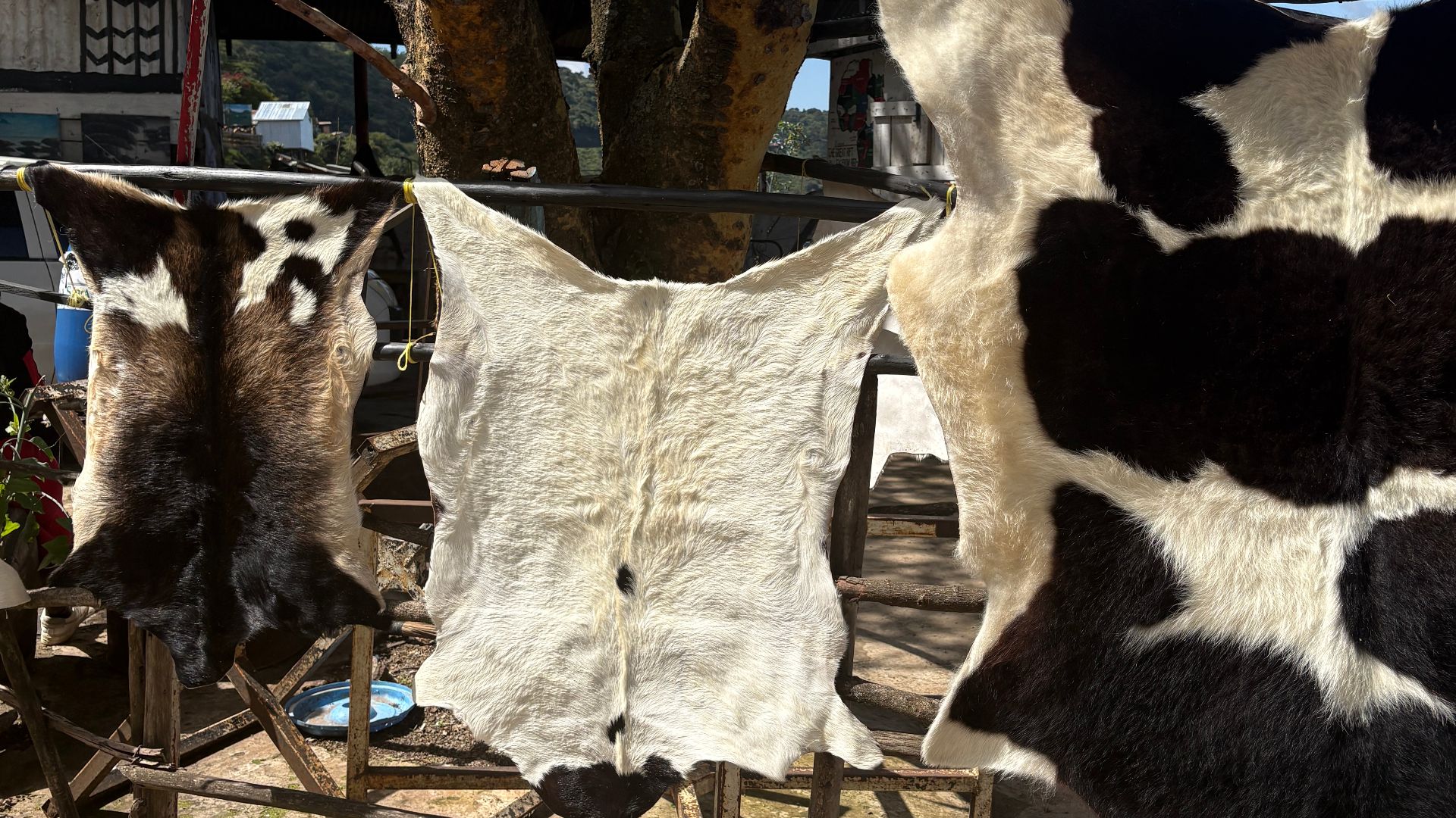 Animal hides and skins hanging on a wooden rail structure to dry and be displayed. Photographed at the Great Rift Valley Escarpment viewpoint along the Nairobi-Nakuru highway (A104), commonly known as the Mai Mahiu Viewpoint, in Kenya.