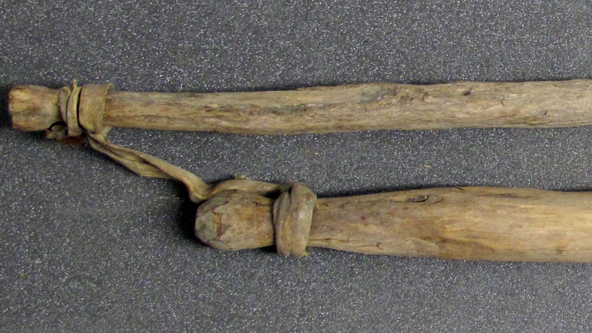 Flail. two sticks of wood joined by piece of animal hide. agricultural tool used for threshing to separate grains from their husks.