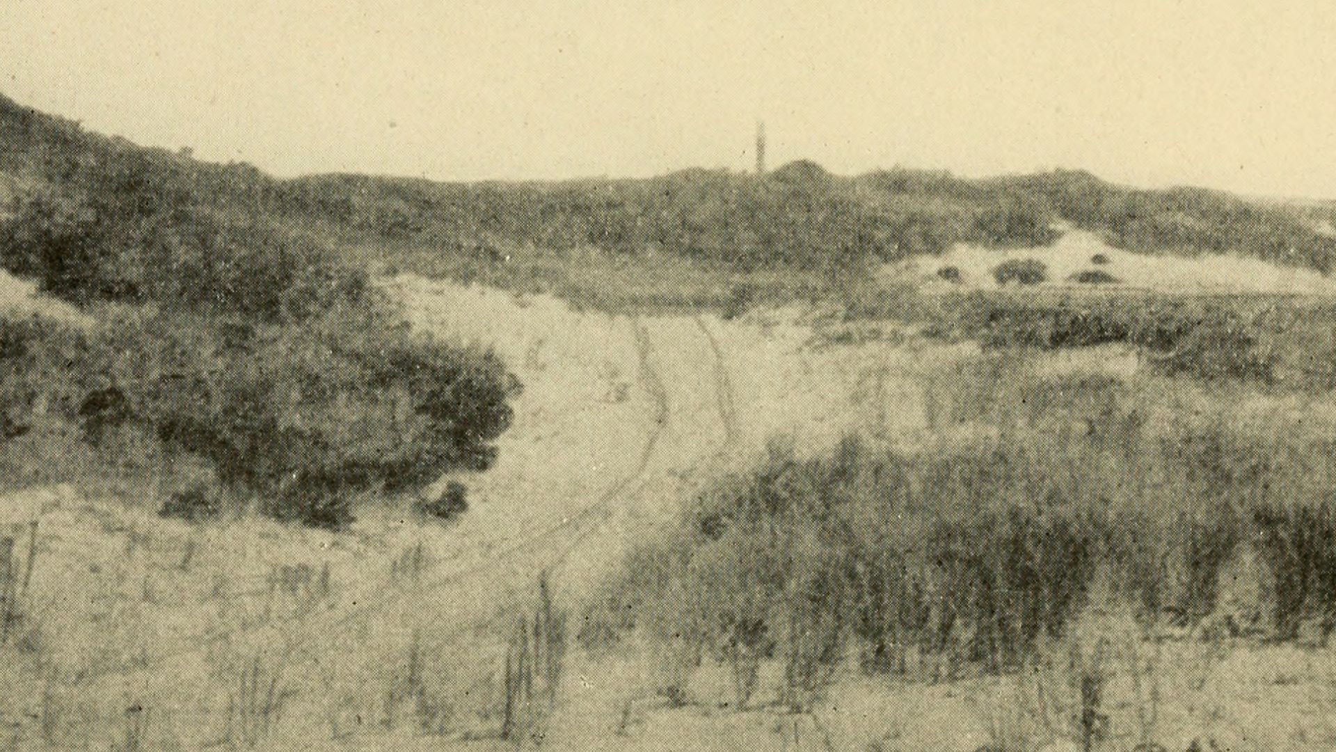 Identifier: capecodoldcolony1921brig (find matches)
Title: Cape Cod and the Old colony
Year: 1921 (1920s)
Authors:  Brigham, Albert Perry, 1855-1932
Subjects:  Pilgrims (New Plymouth Colony) Cape Cod (Mass.)
Publisher:  New York and London, G.P. Putnam's 