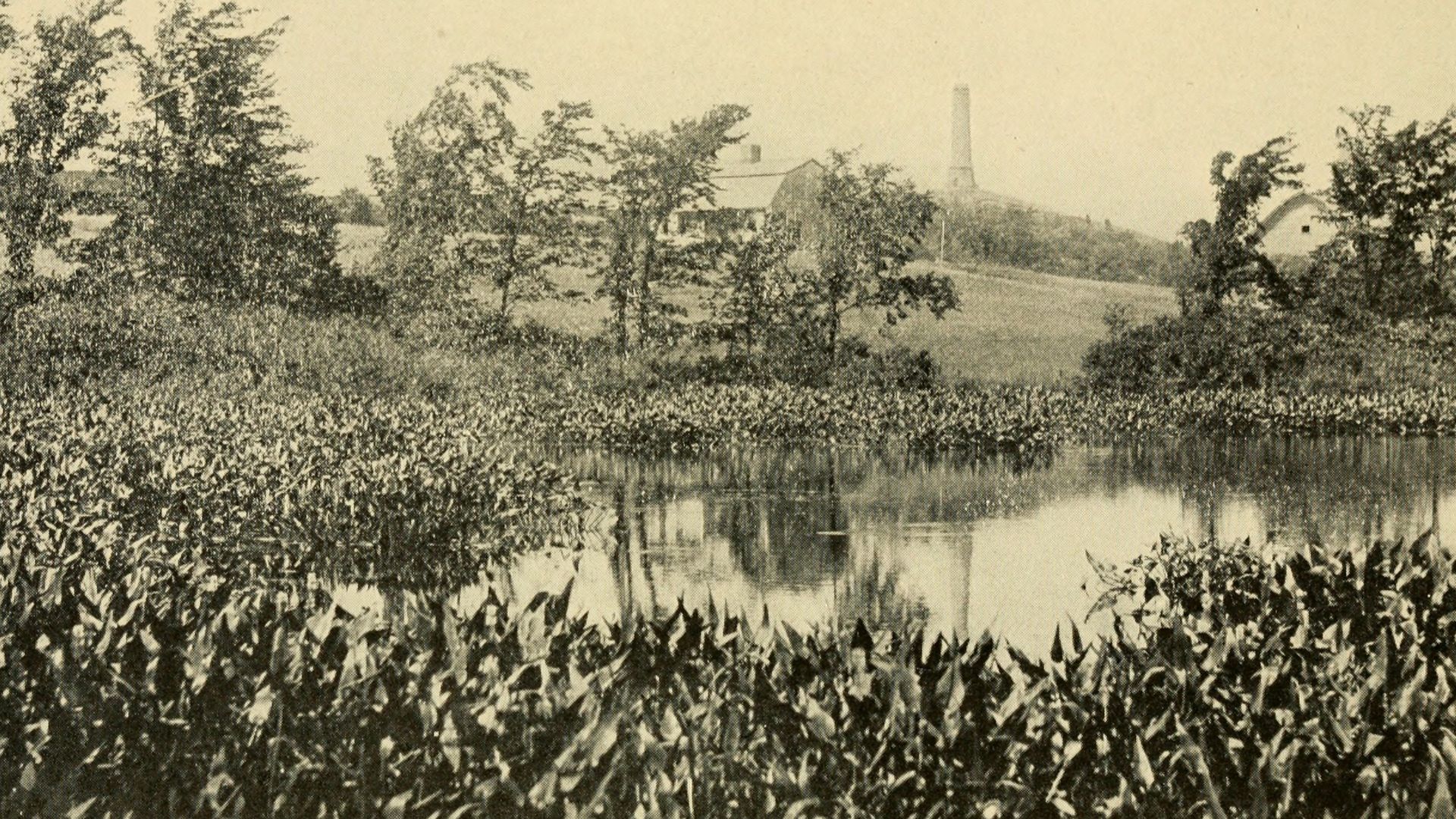 Identifier: capecodoldcolony1921brig (find matches)
Title: Cape Cod and the Old colony
Year: 1921 (1920s)
Authors:  Brigham, Albert Perry, 1855-1932
Subjects:  Pilgrims (New Plymouth Colony) Cape Cod (Mass.)
Publisher:  New York and London, G.P. Putnam's 