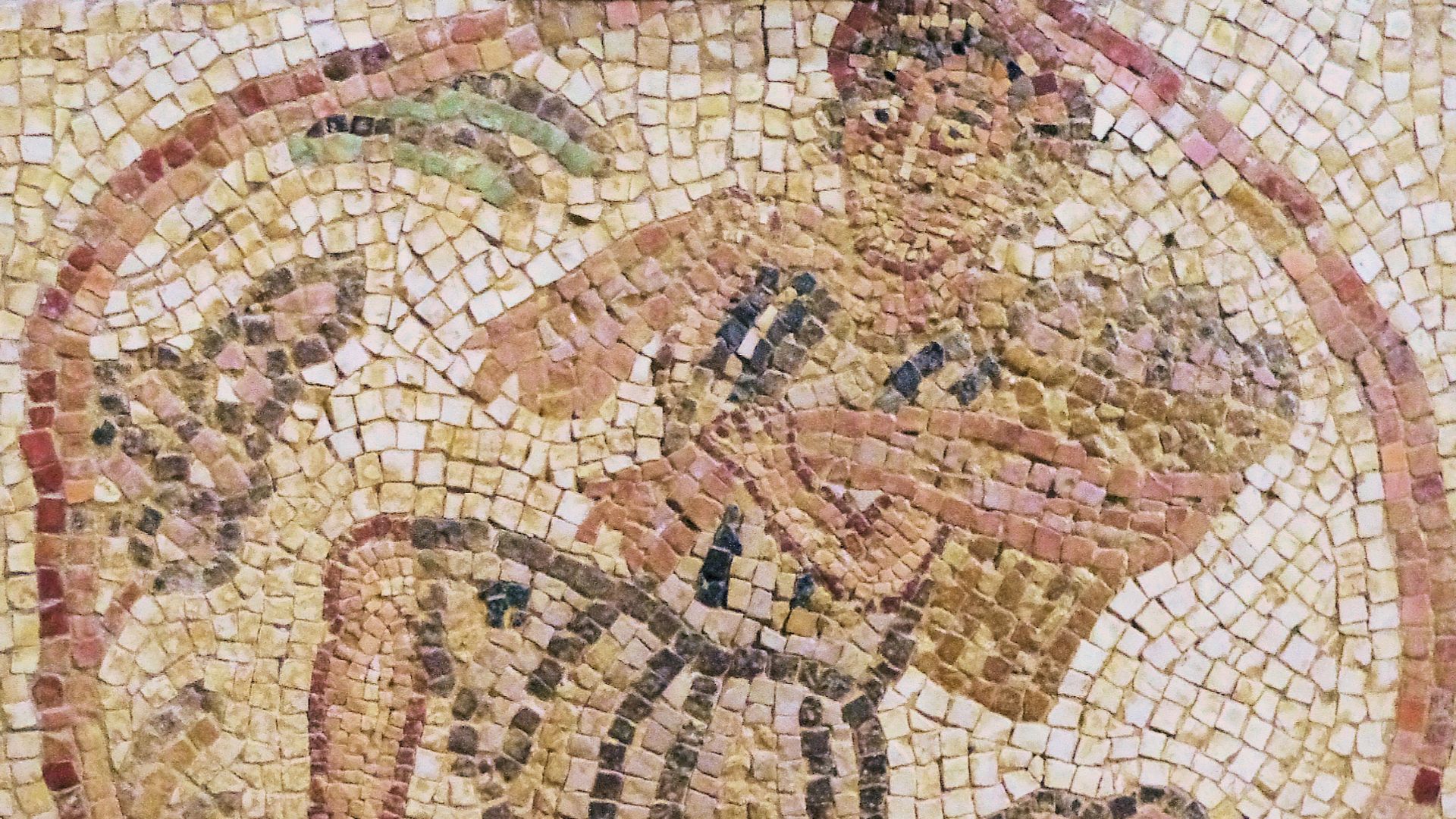 From the Church of Elias, Mary and Soreg in Jerash.  Dates from around the end of the 500's AD.
Flickr data on 2011-07-29:

Camera: Pentax K-x
Tags: jordan, amman, mosaic, byzantine, ancient, art
License: CC BY 2.0
User: Ken and Nyetta Ken & Nyetta
