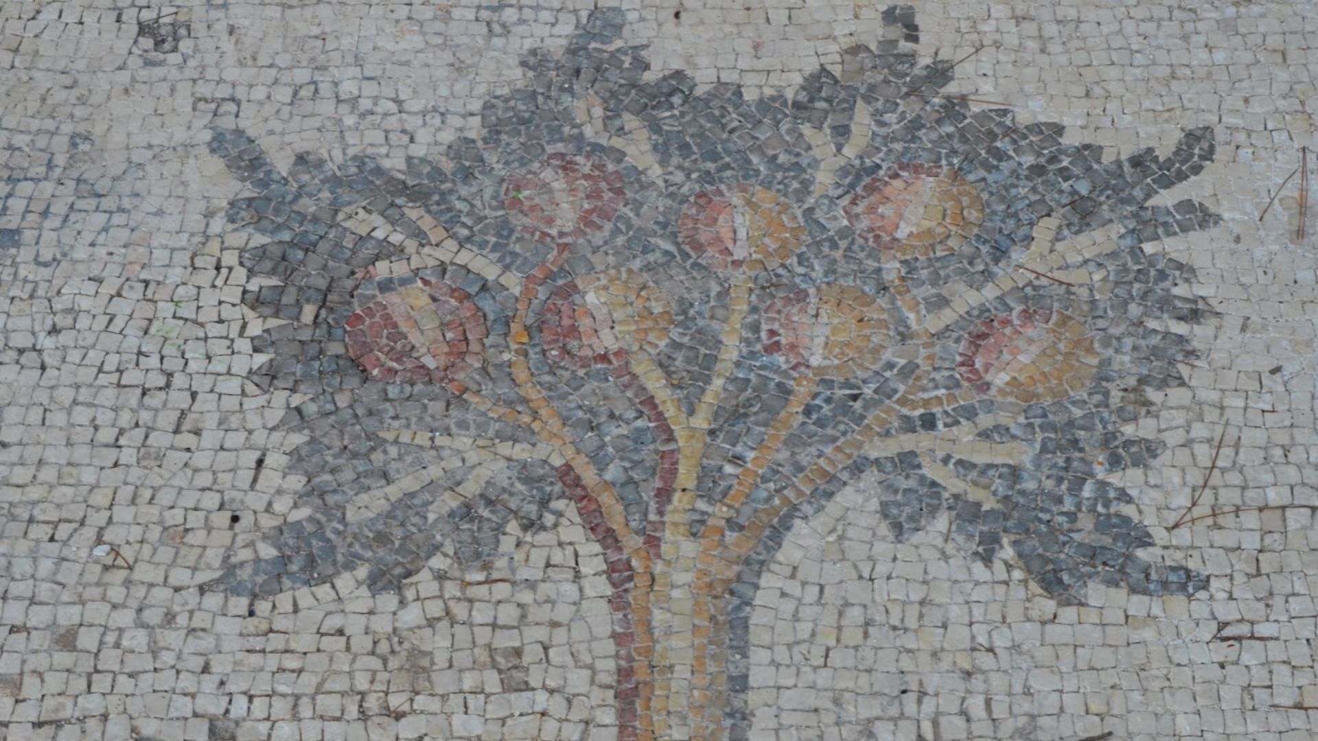 A pomegranate tree, detail from the 6th century AD Bird Mosaic that adorned the atrium of a large palace complex outside the city wall of Byzantine Caesarea, Caesarea Maritima, Israel