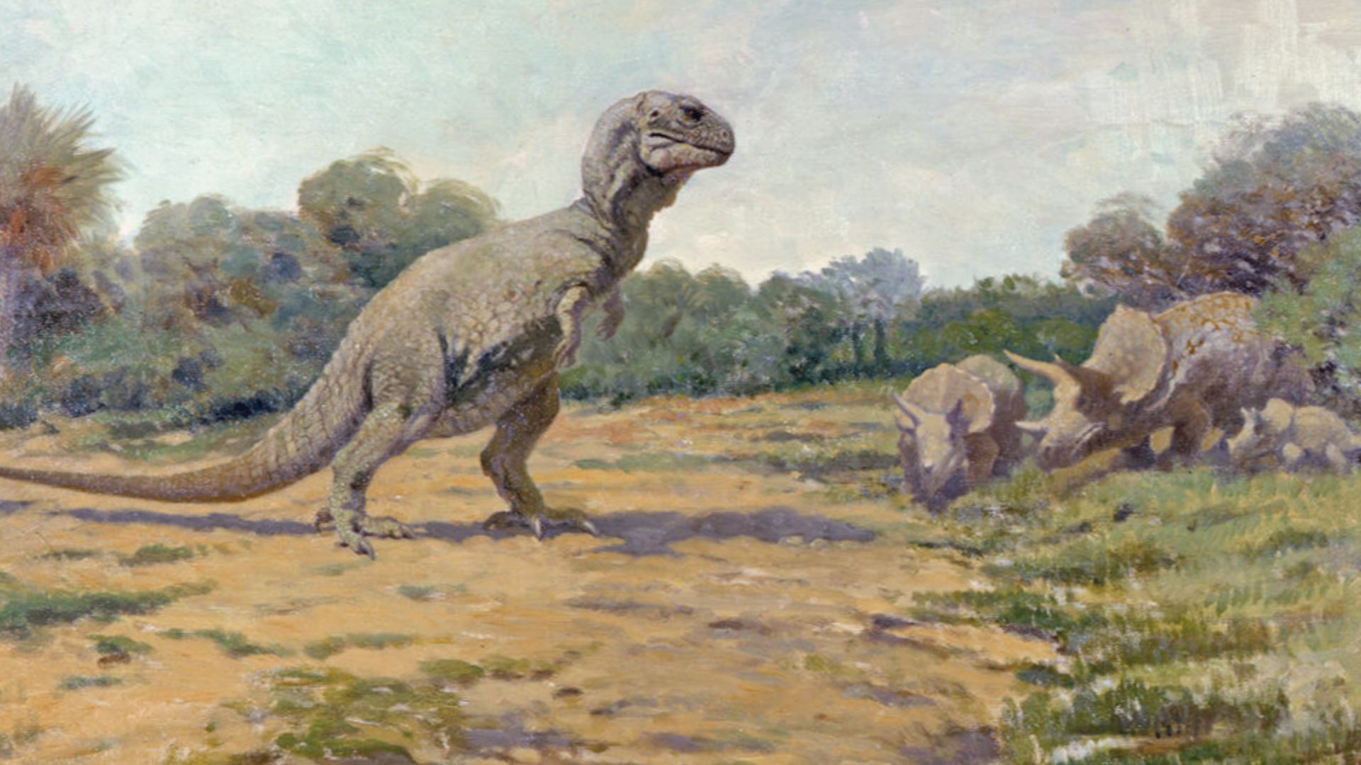 Tyrannosaurus in outdated posture