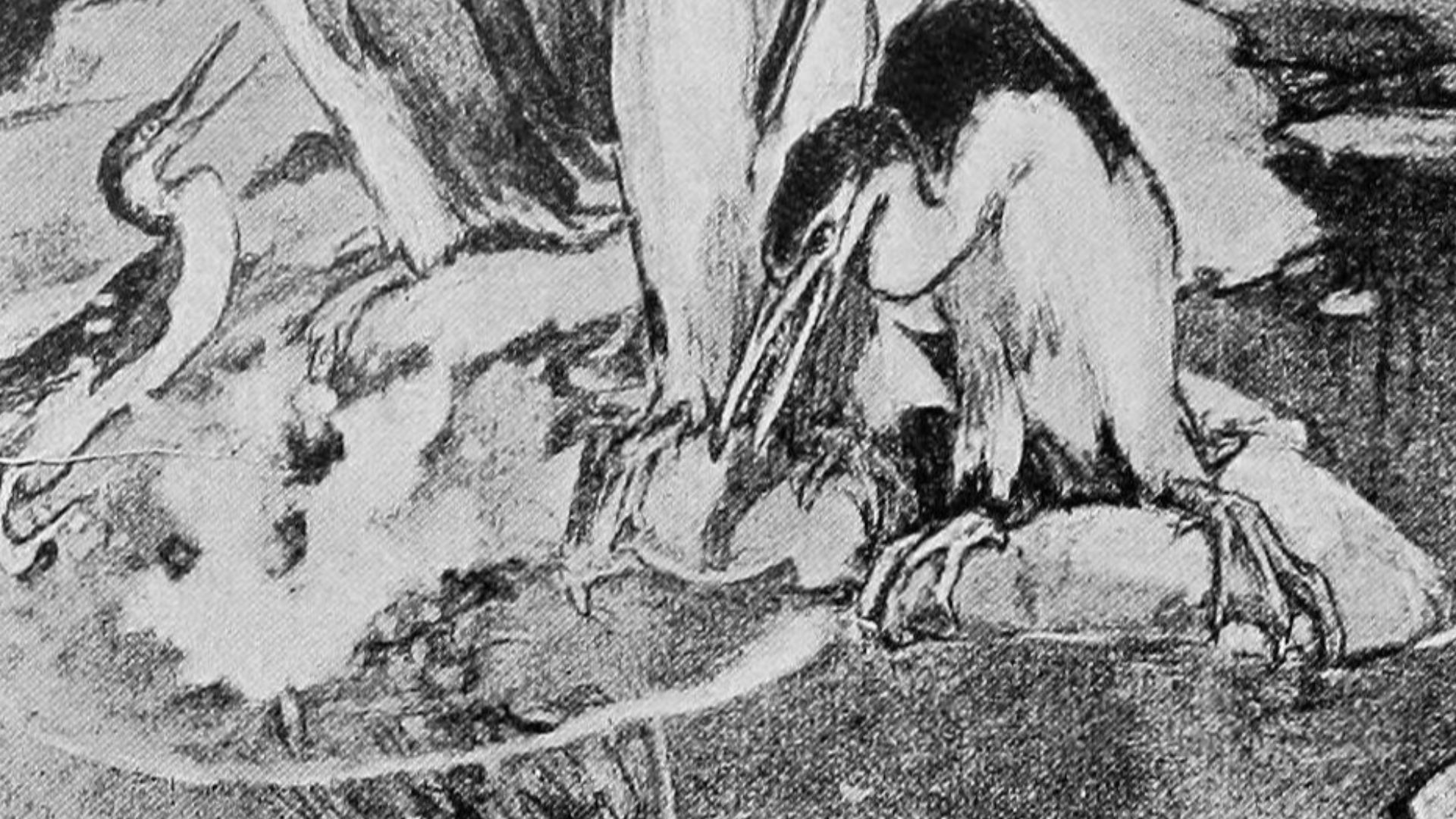 Scan from book